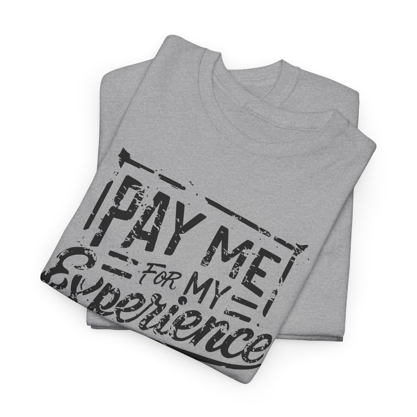 Pay Me For My Experience T-Shirt