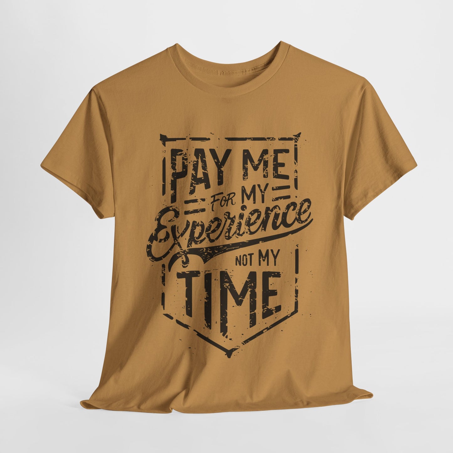 Pay Me For My Experience T-Shirt