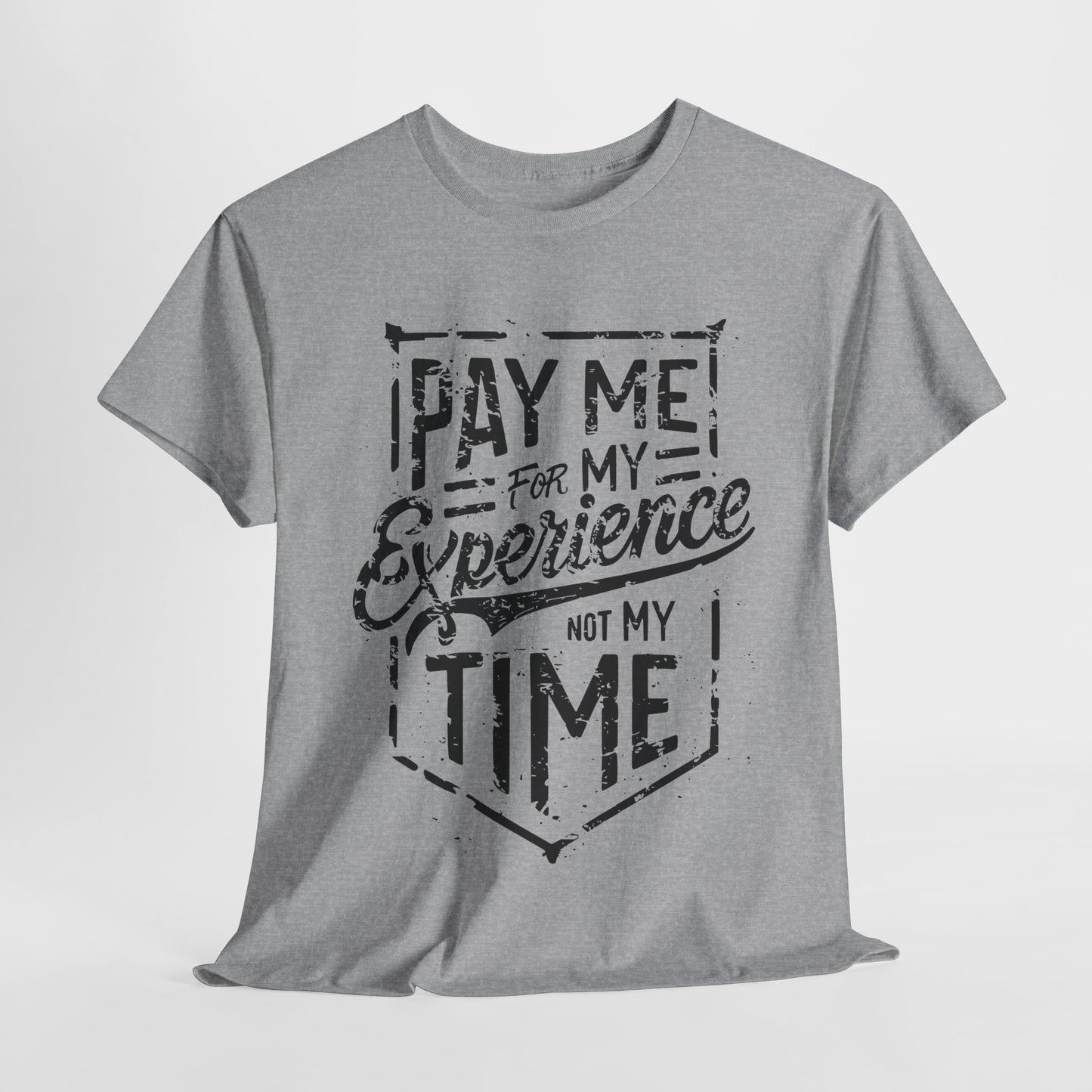 Pay Me For My Experience T-Shirt