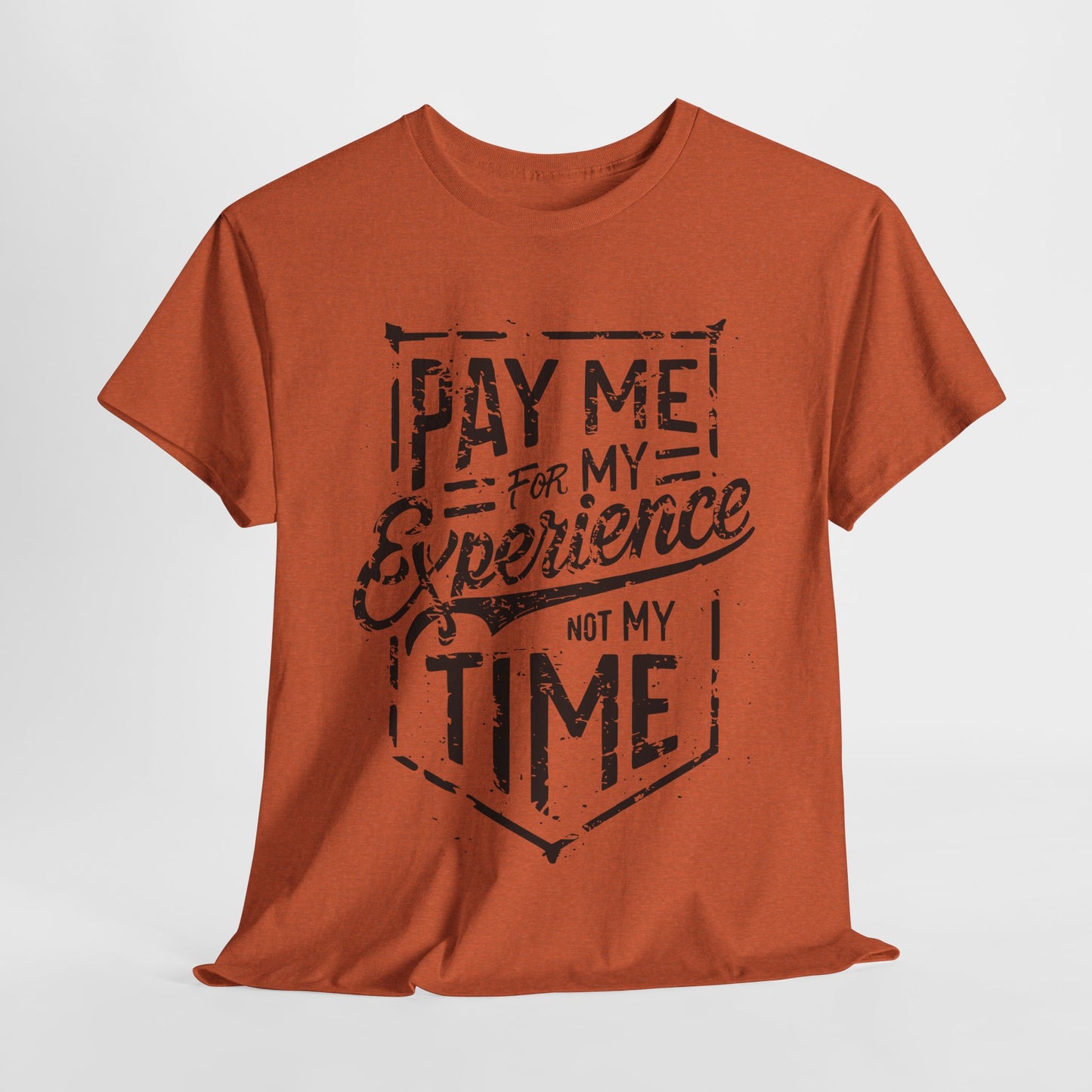 Pay Me For My Experience T-Shirt