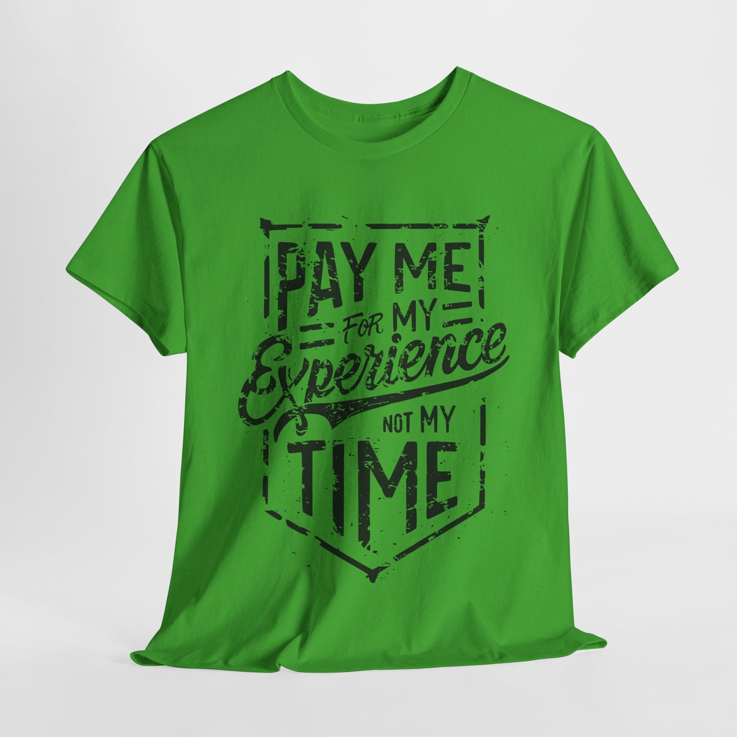 Pay Me For My Experience T-Shirt