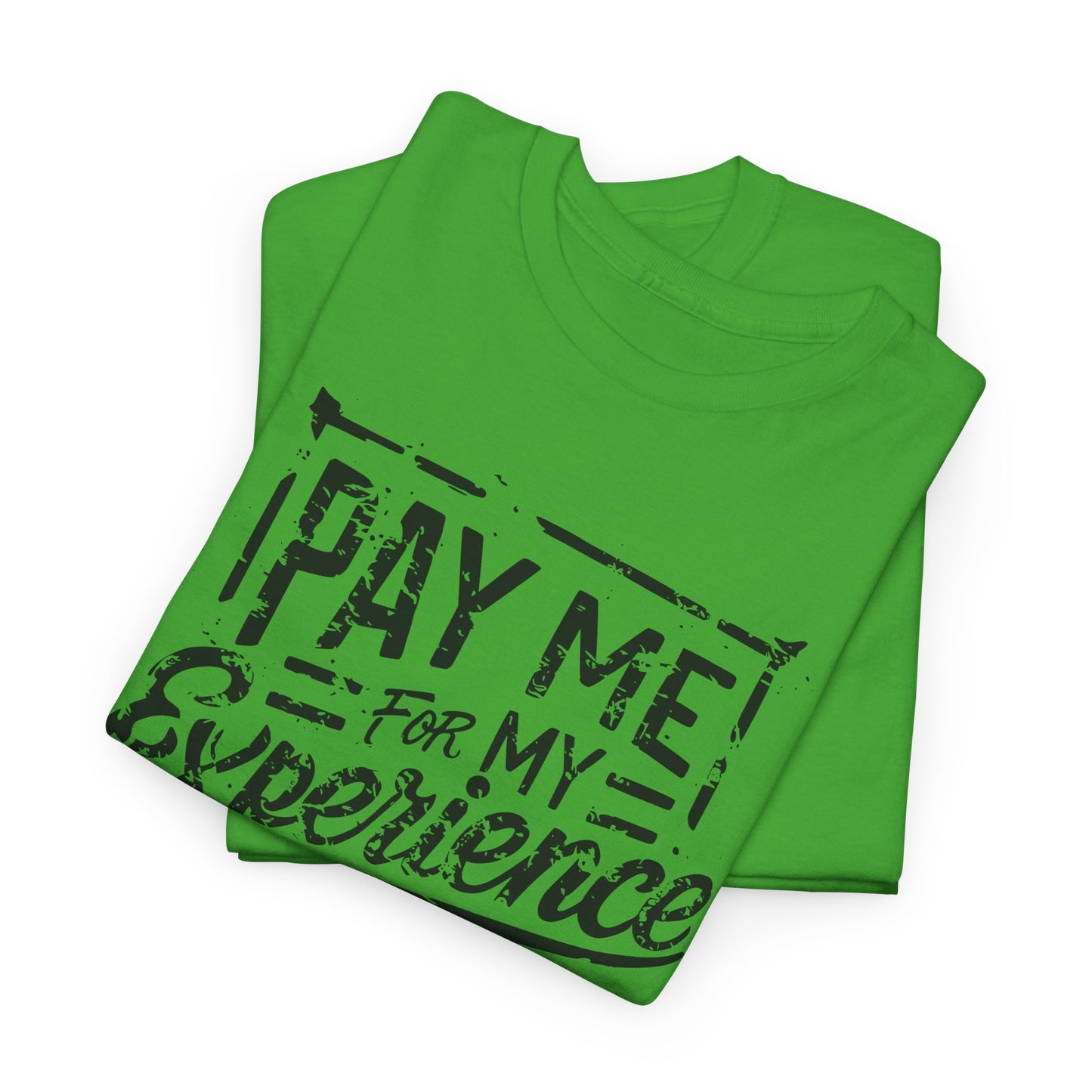Pay Me For My Experience T-Shirt
