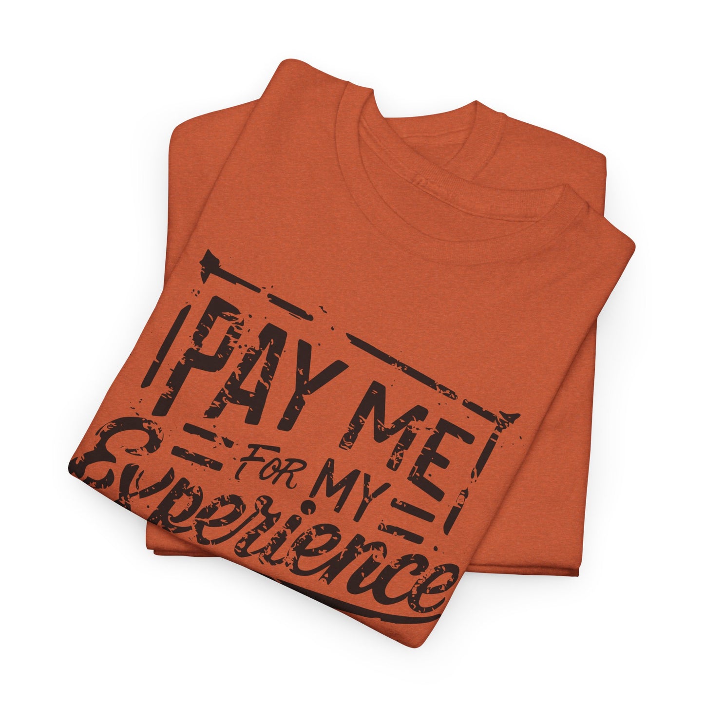 Pay Me For My Experience T-Shirt