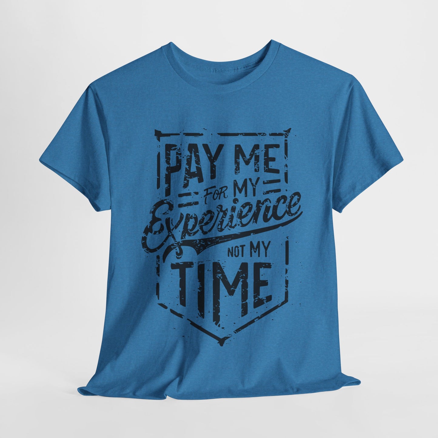 Pay Me For My Experience T-Shirt