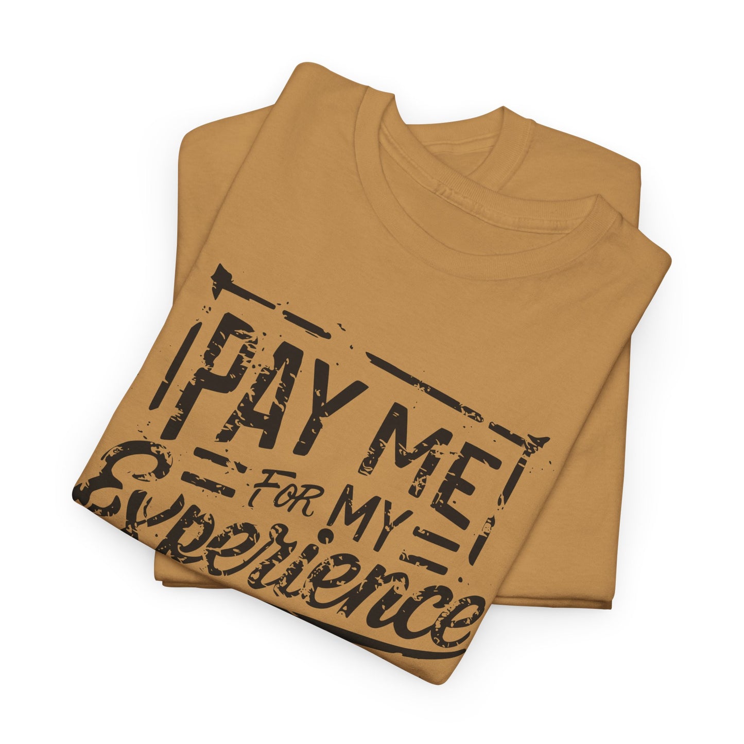 Pay Me For My Experience T-Shirt