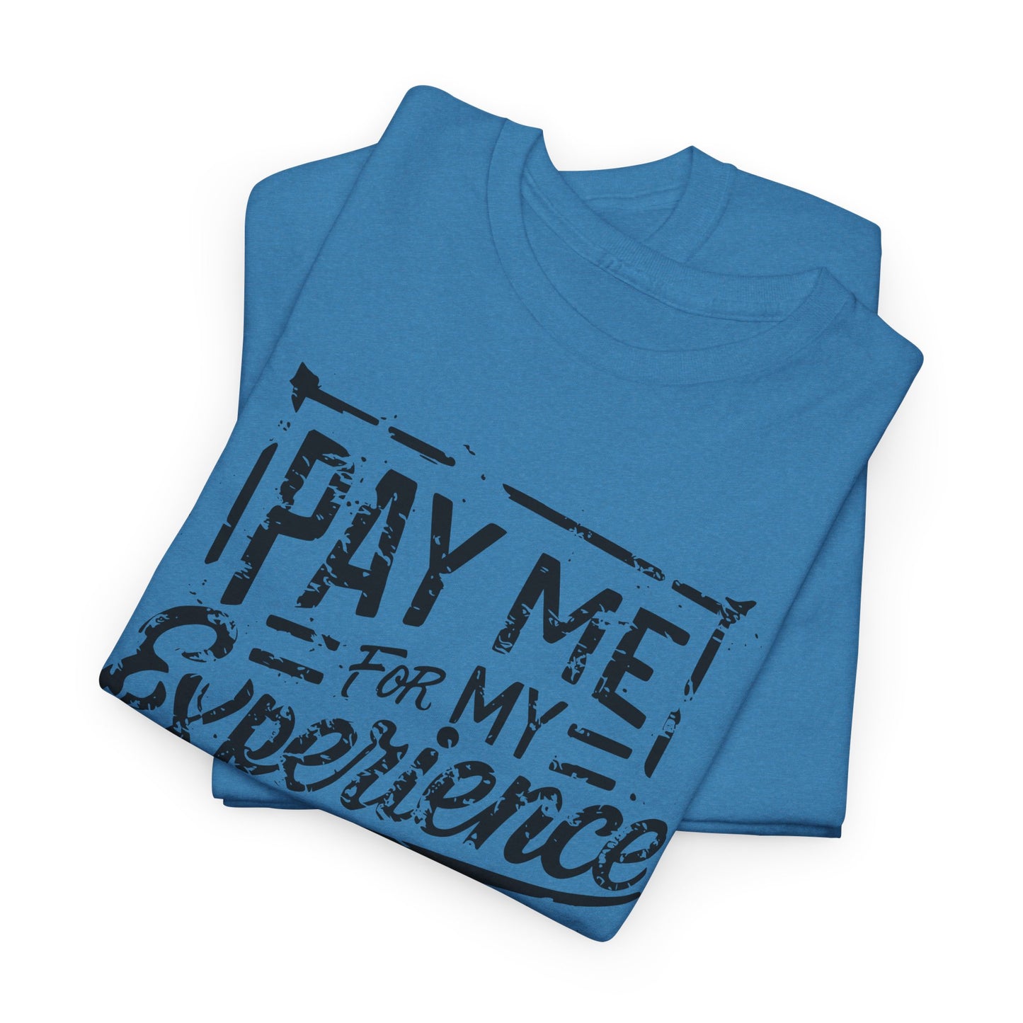 Pay Me For My Experience T-Shirt