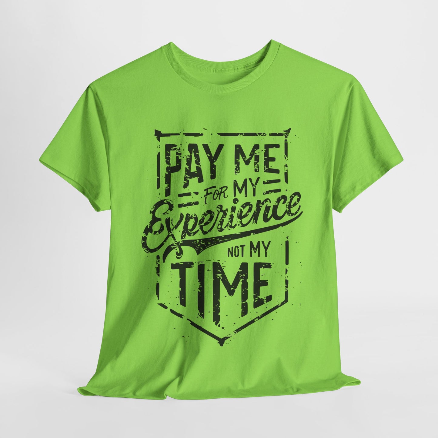 Pay Me For My Experience T-Shirt
