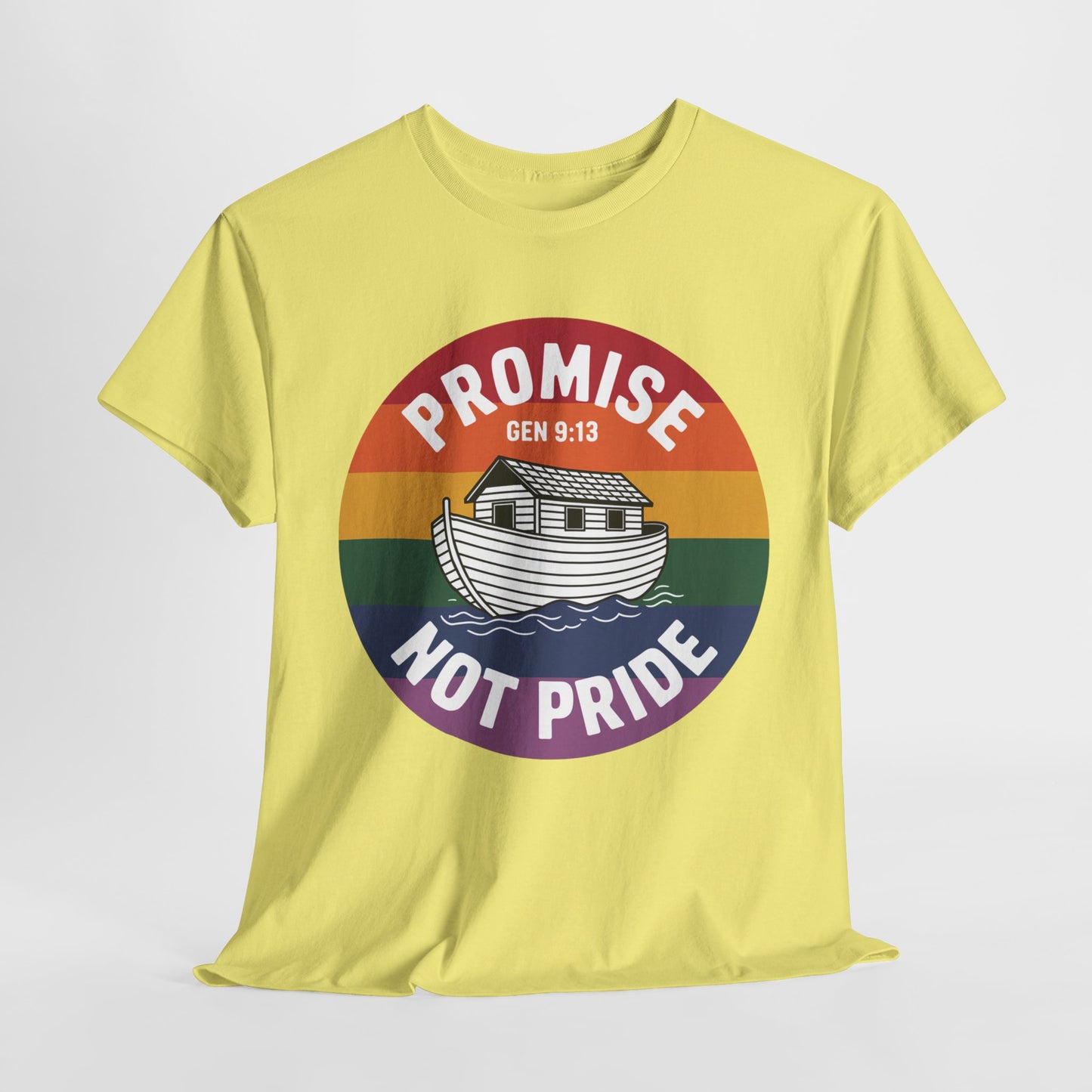 God's promise Christian rainbow tee