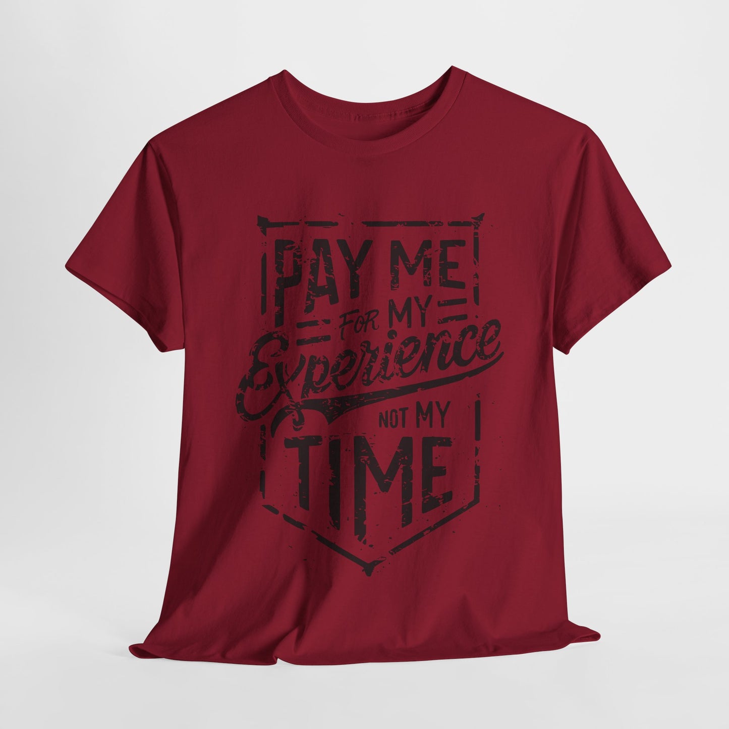 Pay Me For My Experience T-Shirt