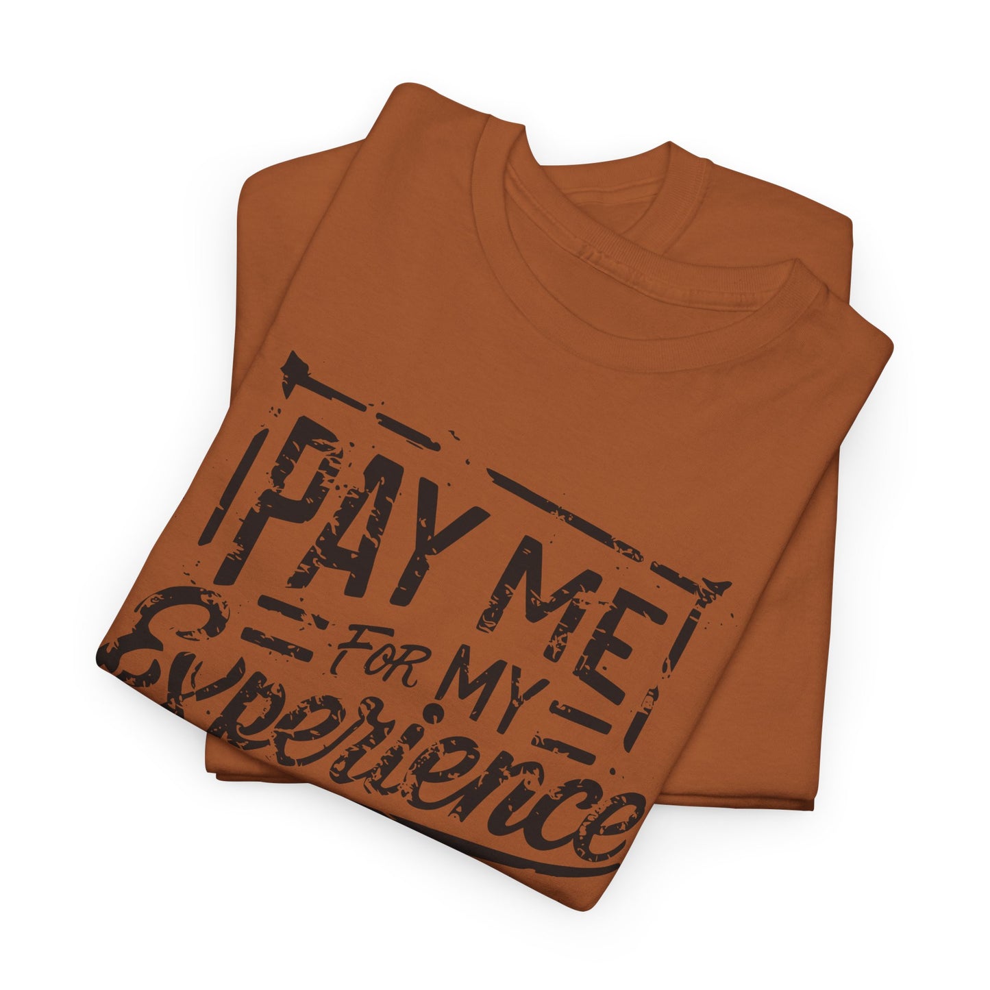 Pay Me For My Experience T-Shirt