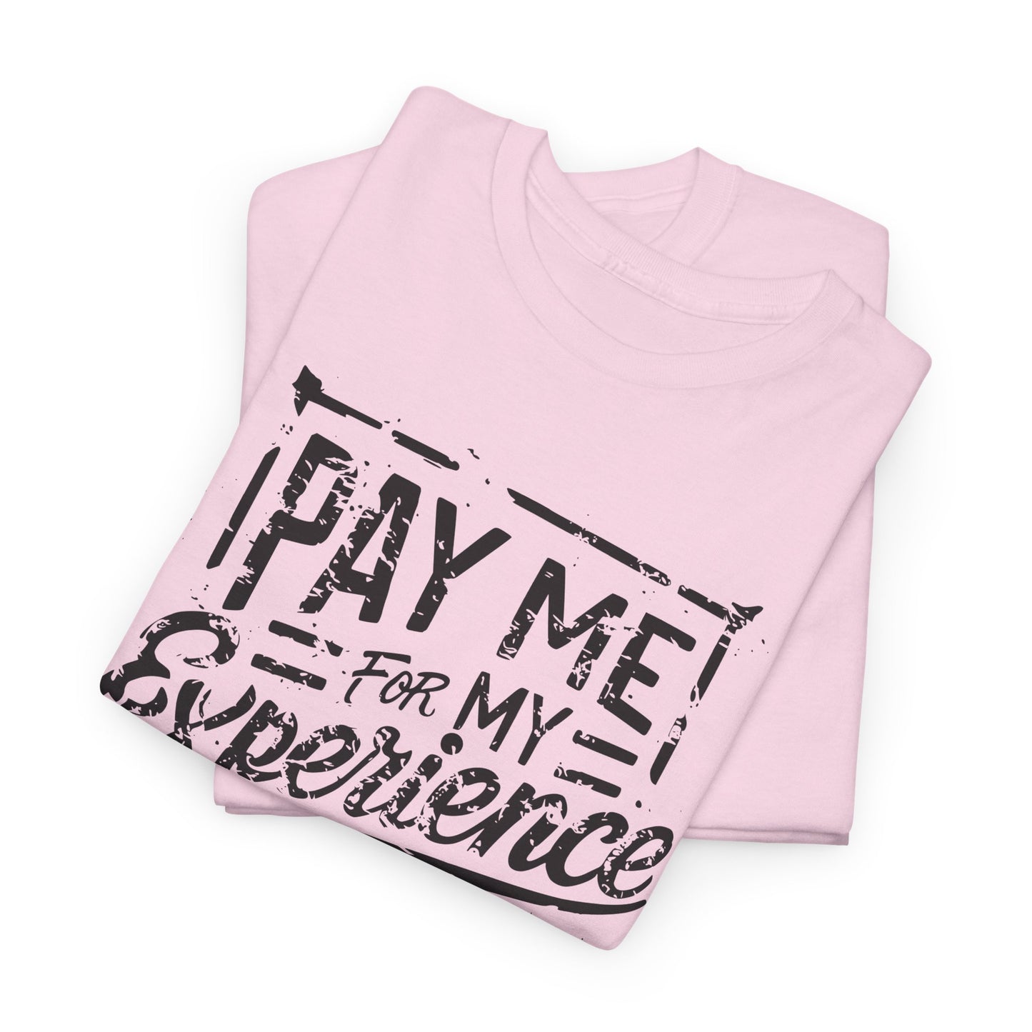 Pay Me For My Experience T-Shirt