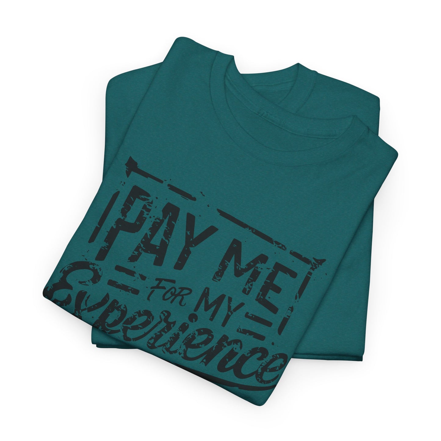 Pay Me For My Experience T-Shirt