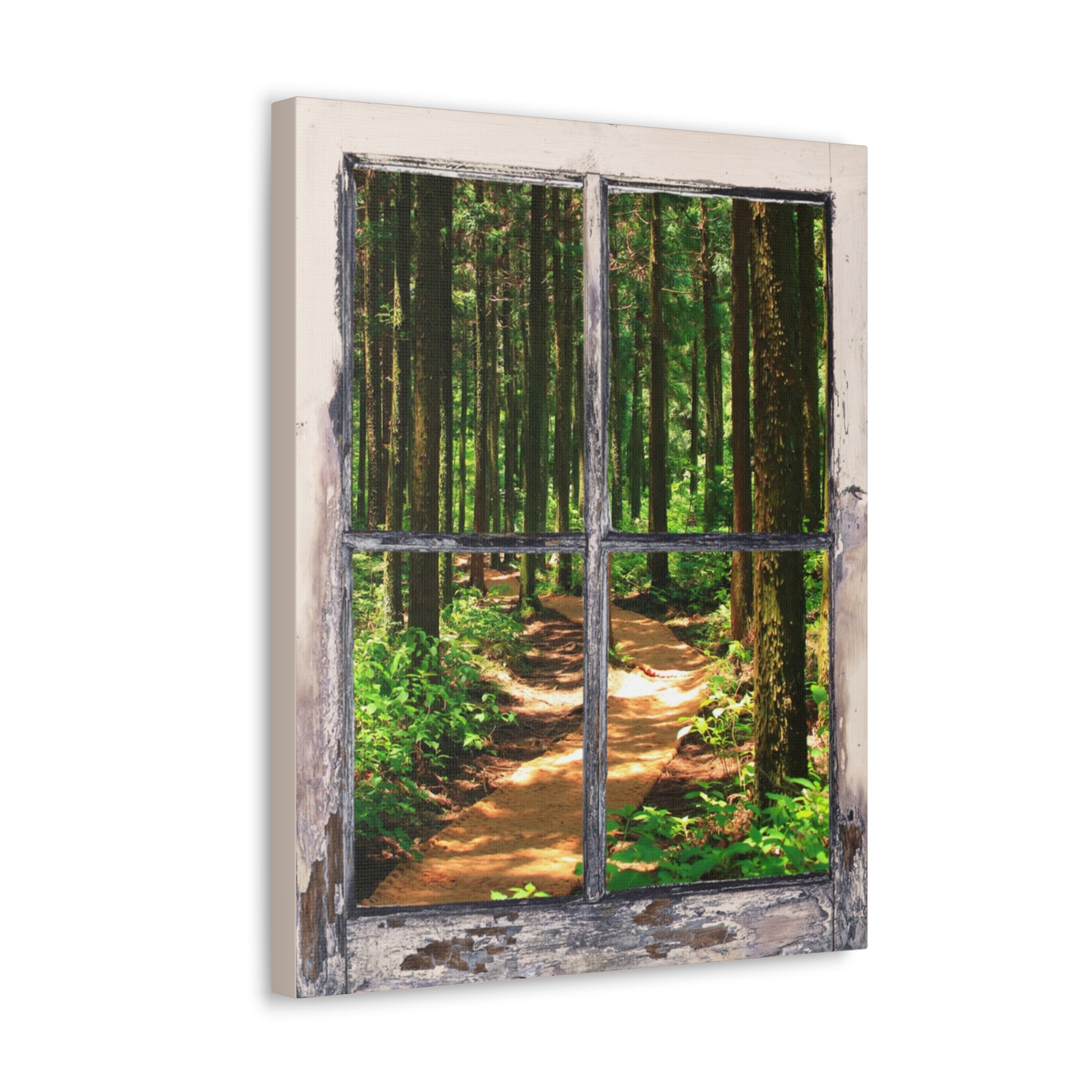 "Natures Window" Wall Art - Weave Got Gifts - Unique Gifts You Won’t Find Anywhere Else!