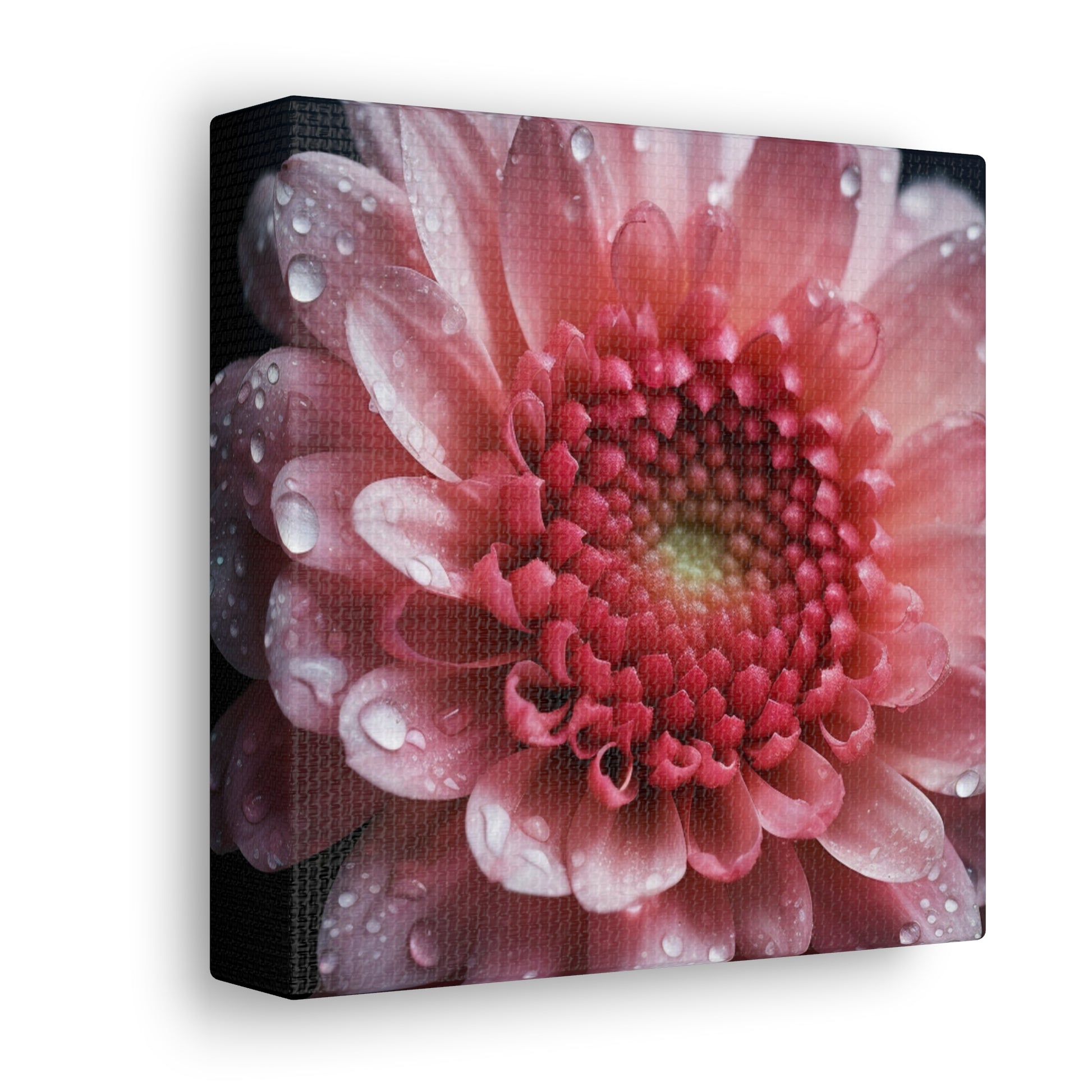 "Beautiful Pink Flower Up Close" Wall Art - Weave Got Gifts - Unique Gifts You Won’t Find Anywhere Else!