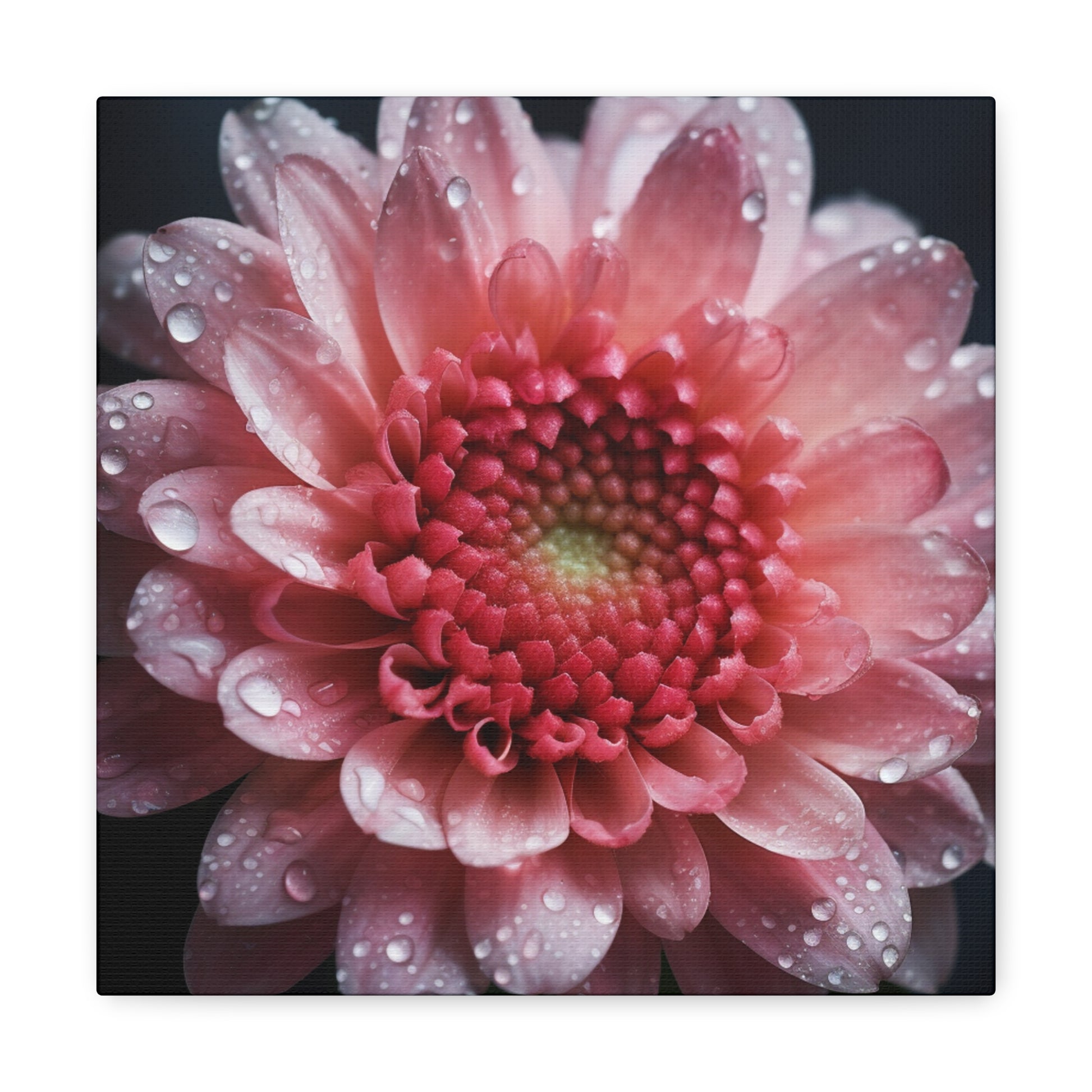 "Beautiful Pink Flower Up Close" Wall Art - Weave Got Gifts - Unique Gifts You Won’t Find Anywhere Else!