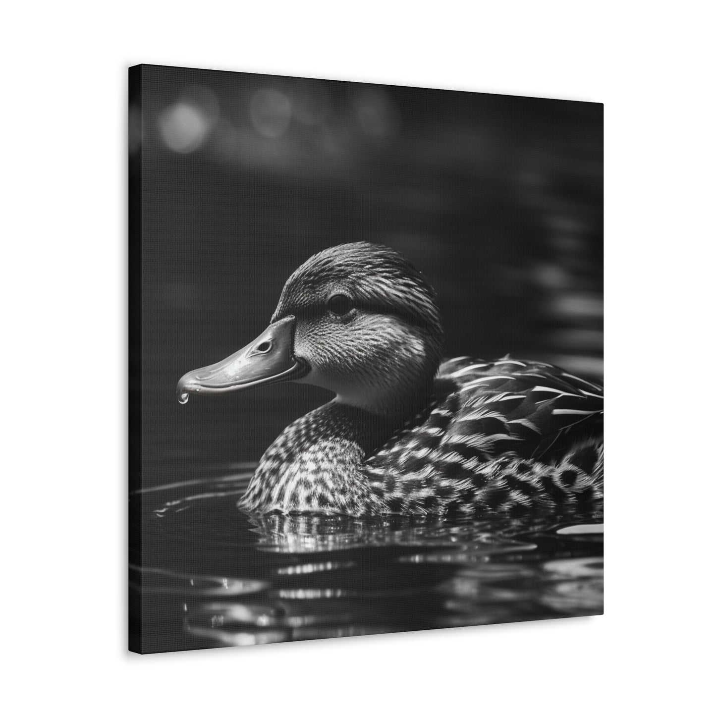 "Black & White Mallard Photo" Wall Art - Weave Got Gifts - Unique Gifts You Won’t Find Anywhere Else!