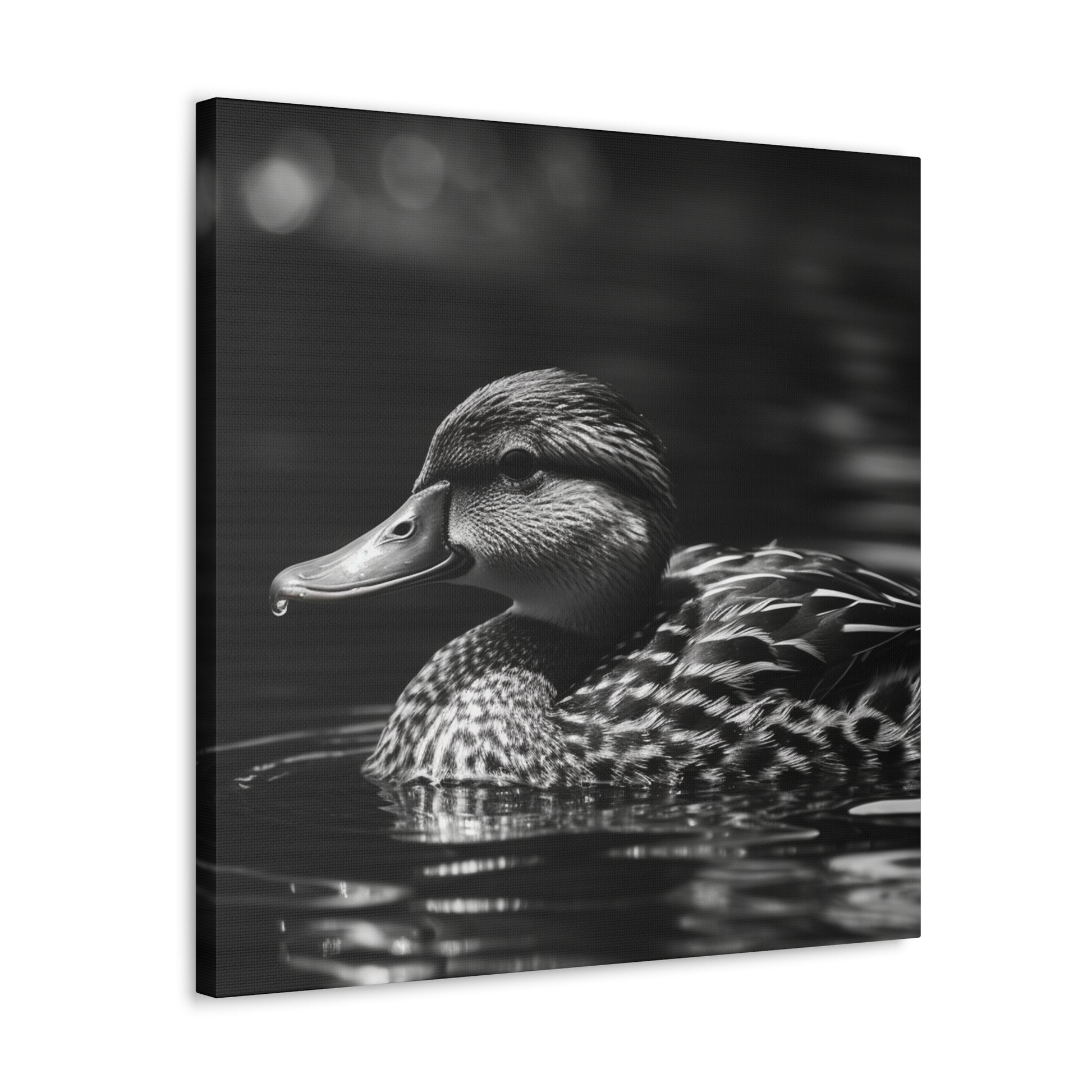 "Black & White Mallard Photo" Wall Art - Weave Got Gifts - Unique Gifts You Won’t Find Anywhere Else!