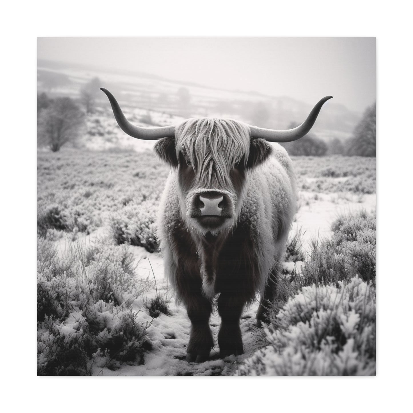 "Black & White Highland Cow" Wall Art - Weave Got Gifts - Unique Gifts You Won’t Find Anywhere Else!