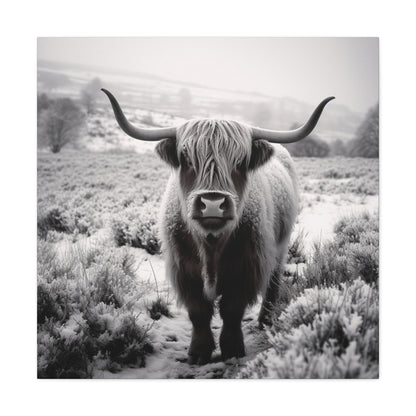 "Black & White Highland Cow" Wall Art - Weave Got Gifts - Unique Gifts You Won’t Find Anywhere Else!