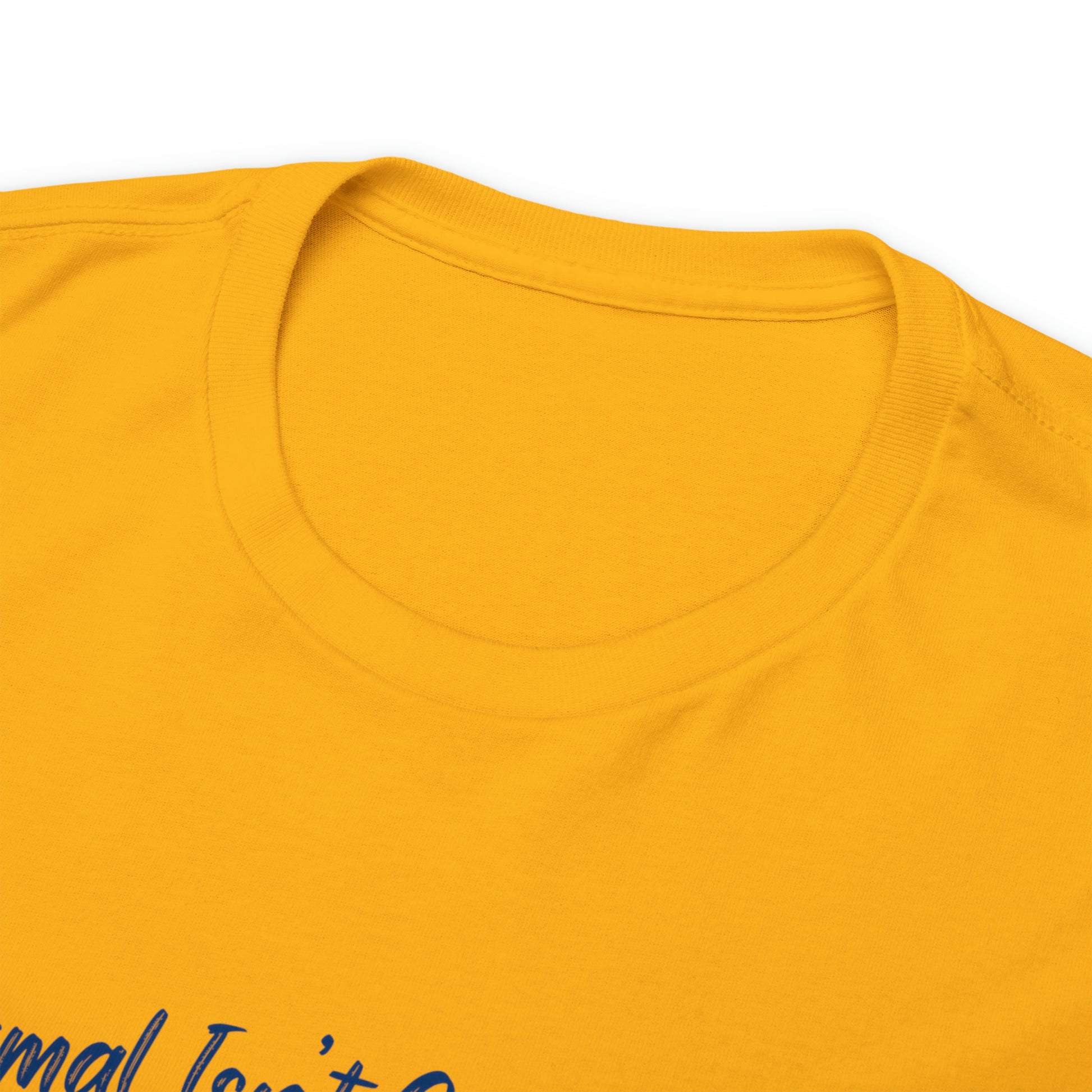 "Normal Isn't Coming Back, Jesus Is" T-Shirt - Weave Got Gifts - Unique Gifts You Won’t Find Anywhere Else!