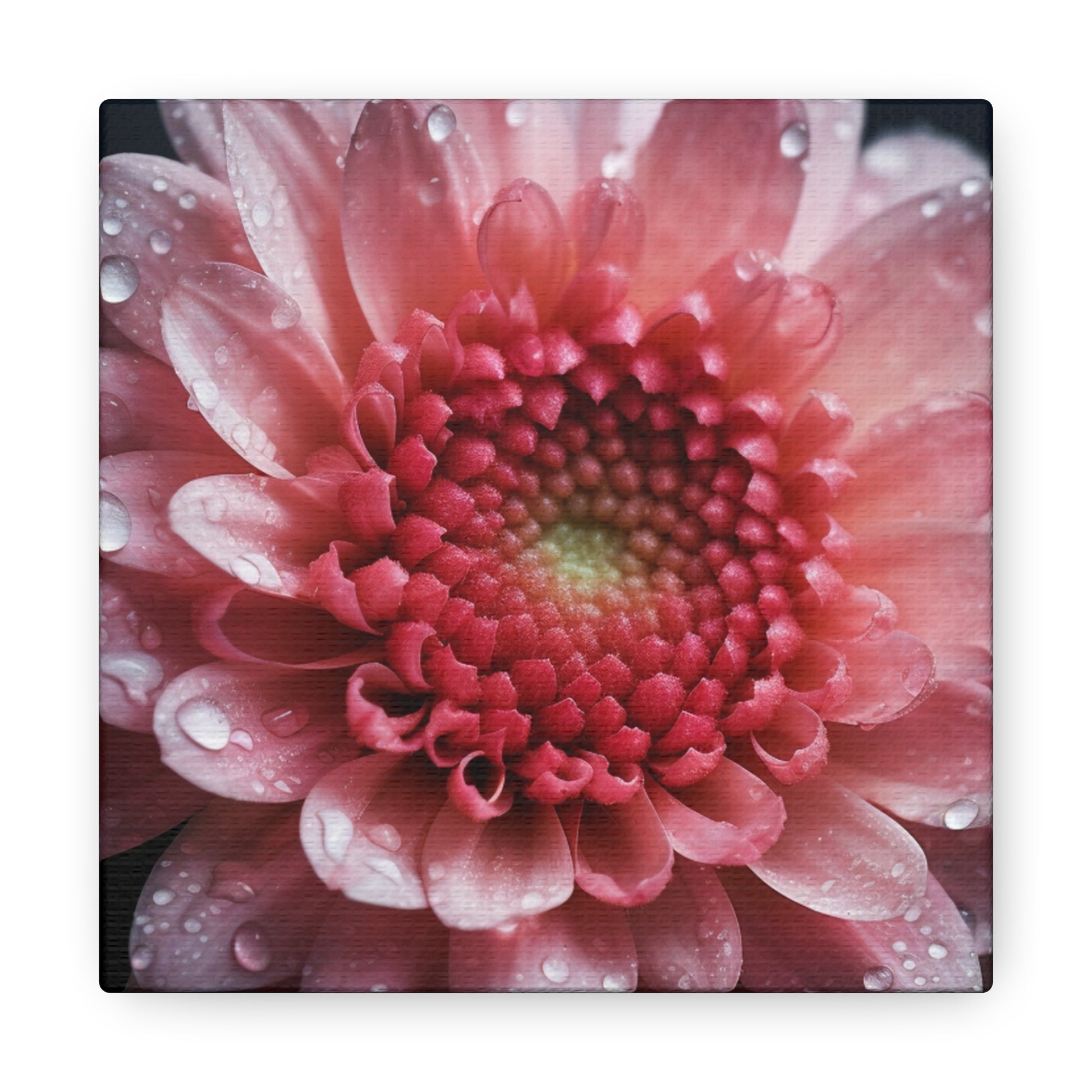 "Beautiful Pink Flower Up Close" Wall Art - Weave Got Gifts - Unique Gifts You Won’t Find Anywhere Else!