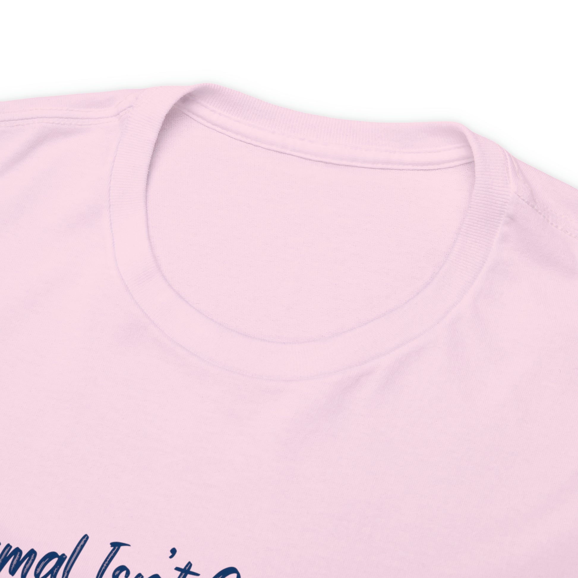 "Normal Isn't Coming Back, Jesus Is" T-Shirt - Weave Got Gifts - Unique Gifts You Won’t Find Anywhere Else!