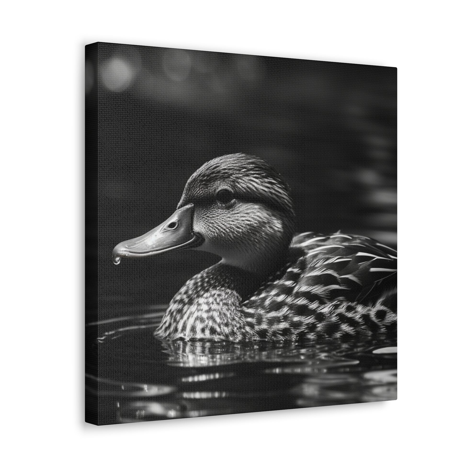 "Black & White Mallard Photo" Wall Art - Weave Got Gifts - Unique Gifts You Won’t Find Anywhere Else!