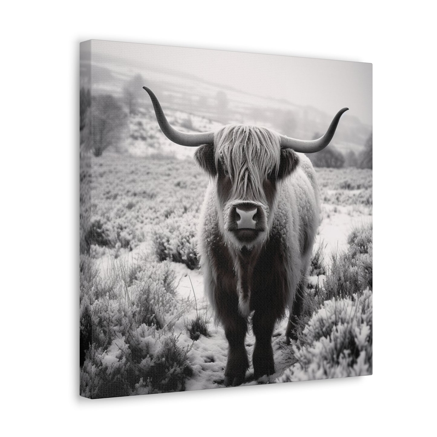 "Black & White Highland Cow" Wall Art - Weave Got Gifts - Unique Gifts You Won’t Find Anywhere Else!