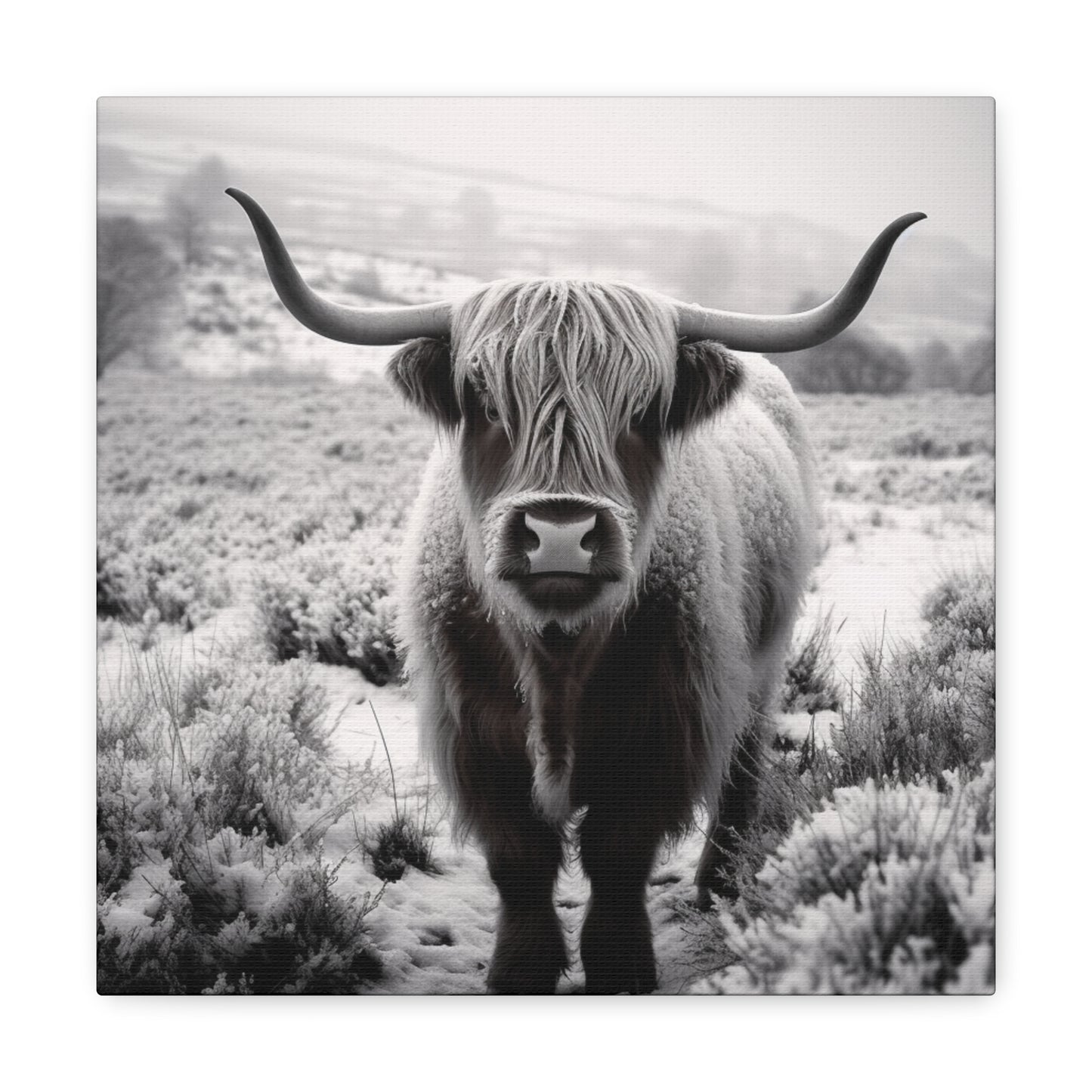 "Black & White Highland Cow" Wall Art - Weave Got Gifts - Unique Gifts You Won’t Find Anywhere Else!