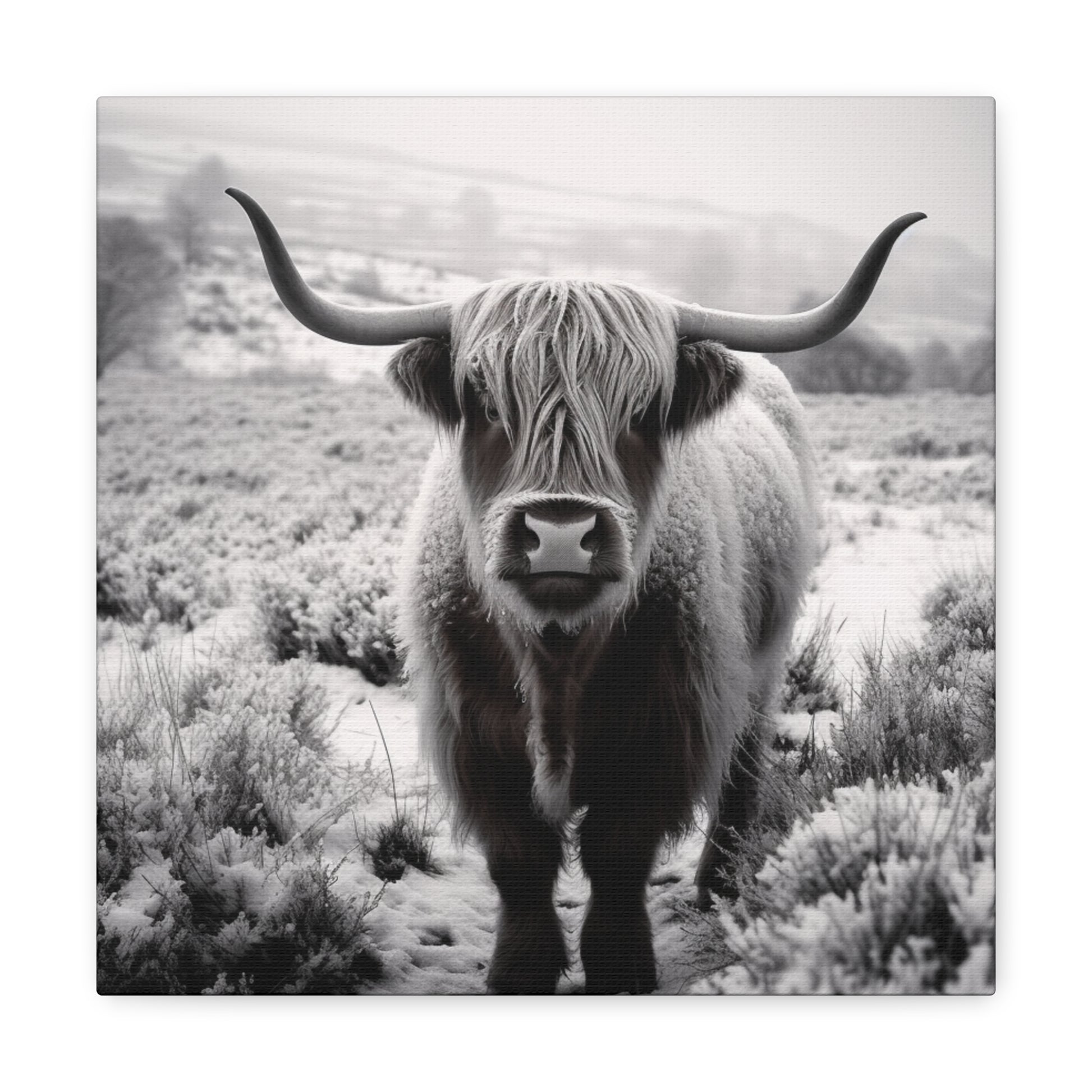 "Black & White Highland Cow" Wall Art - Weave Got Gifts - Unique Gifts You Won’t Find Anywhere Else!