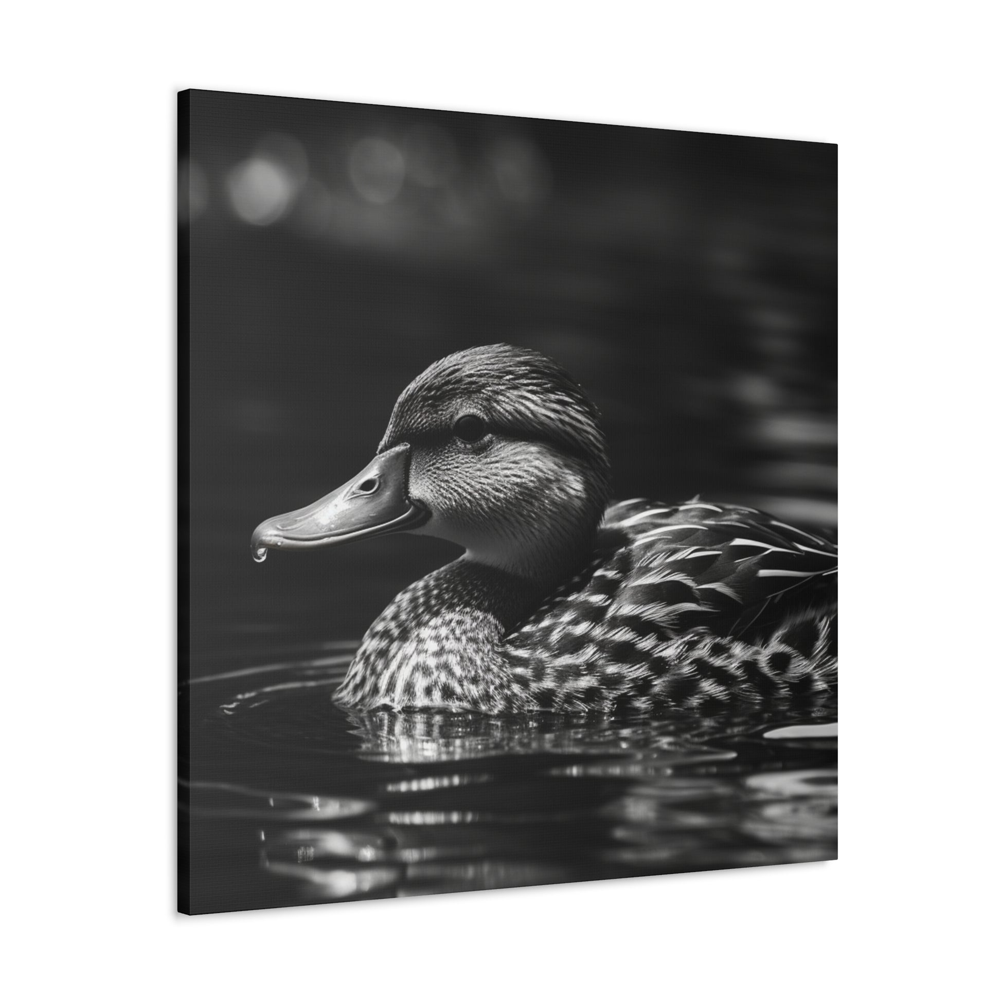 "Black & White Mallard Photo" Wall Art - Weave Got Gifts - Unique Gifts You Won’t Find Anywhere Else!