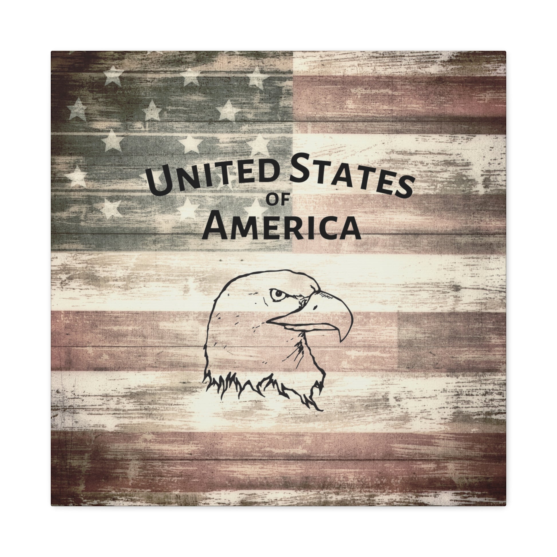 Rustic patriotic wall decor canvas with eagle





