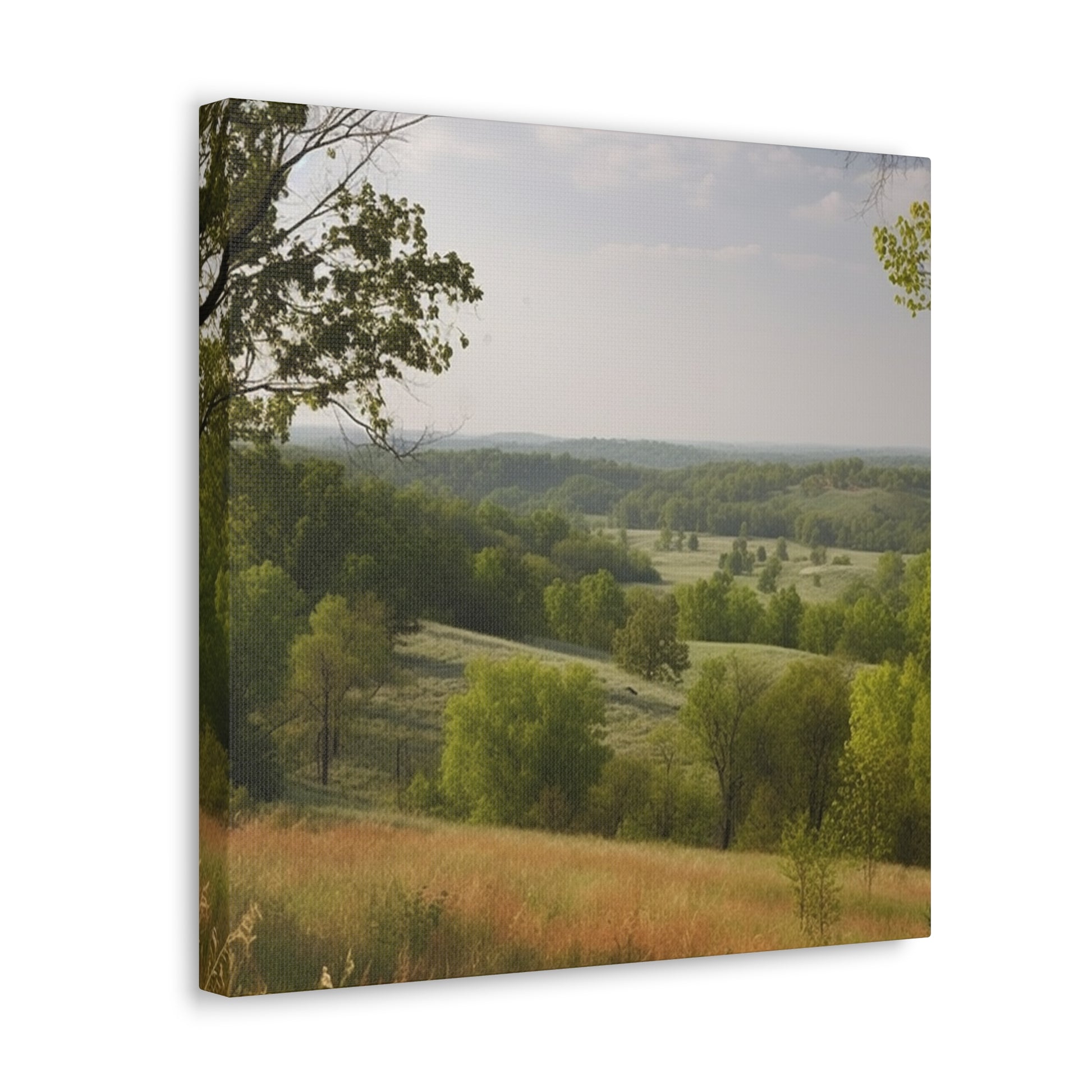 "Rolling Hills Of Missouri" Wall Art - Weave Got Gifts - Unique Gifts You Won’t Find Anywhere Else!