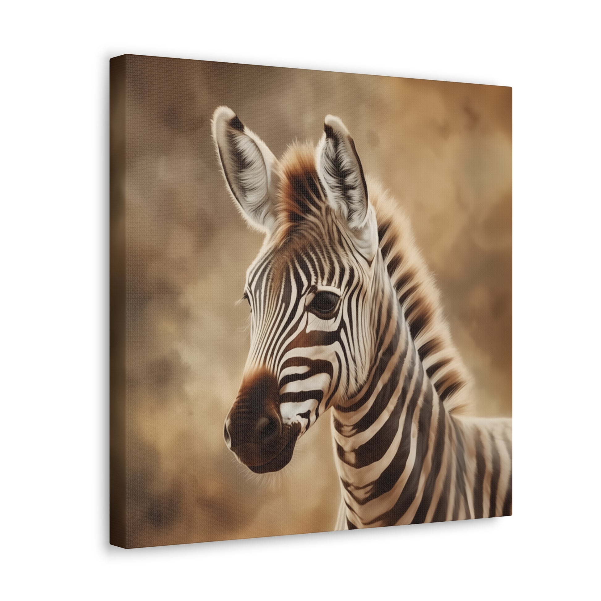 "Baby Zebra Portrait" Wall Art - Weave Got Gifts - Unique Gifts You Won’t Find Anywhere Else!