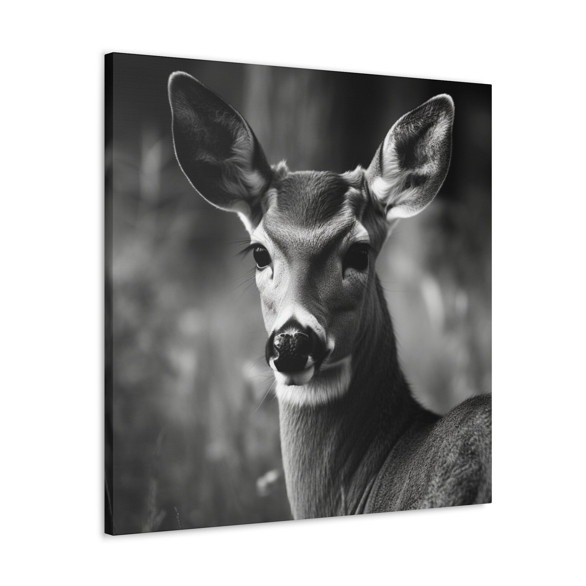 "Black & White Doe" Hunting Wall Art - Weave Got Gifts - Unique Gifts You Won’t Find Anywhere Else!
