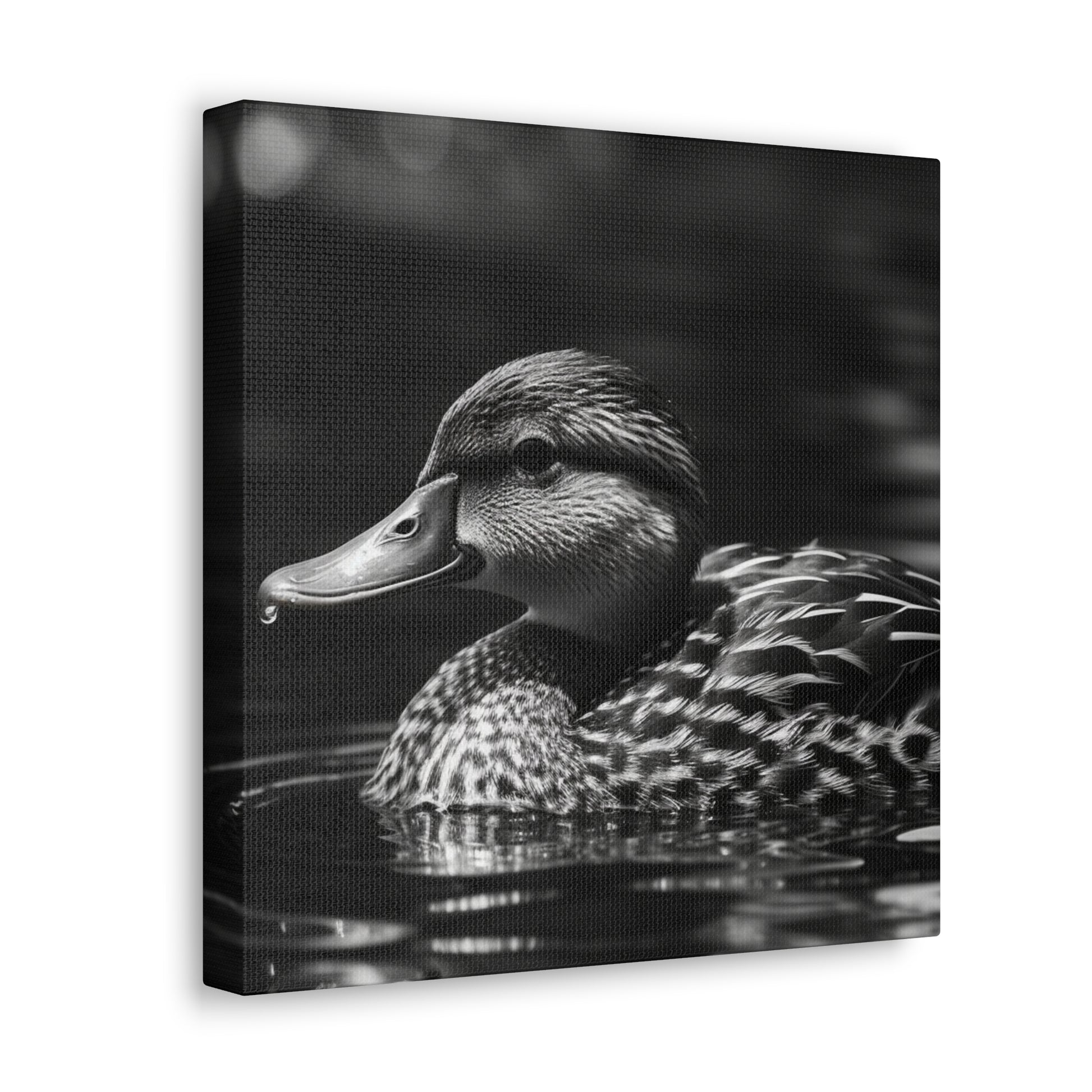 Floating mallard duck wall art in black and white
