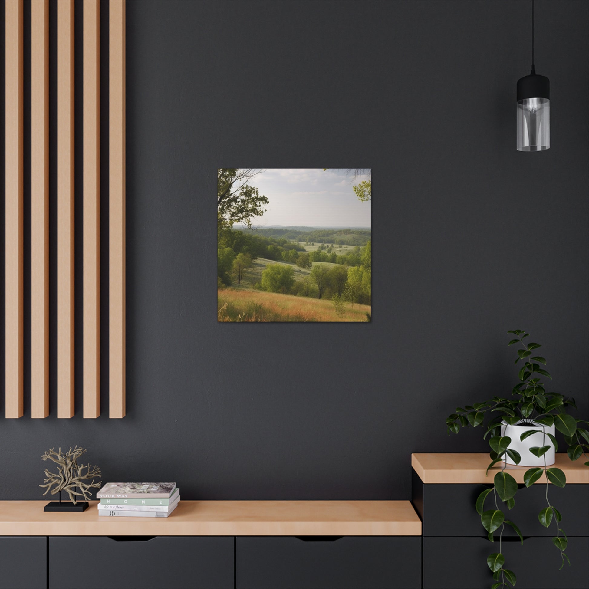 Countryside art canvas featuring natural Missouri scenery