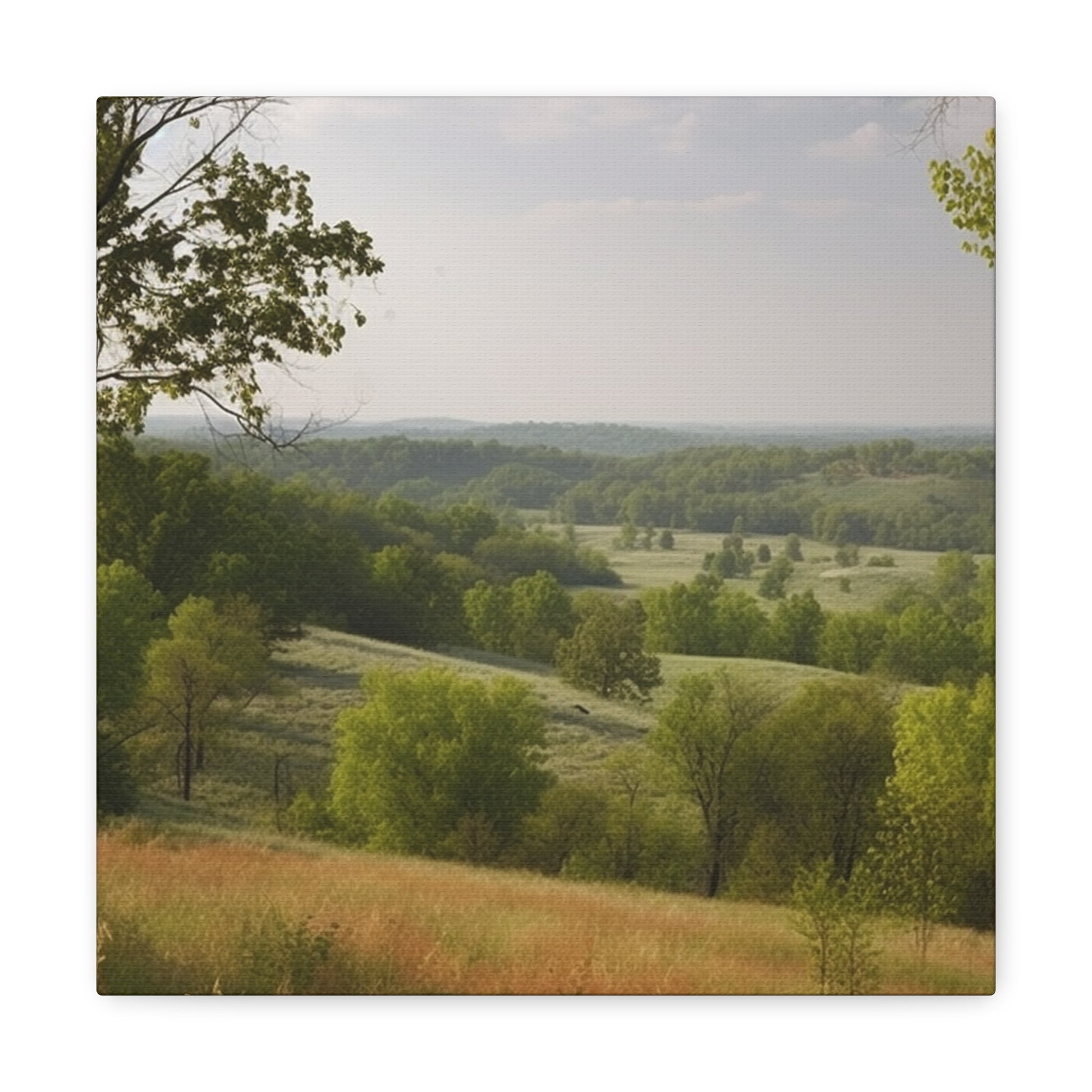 "Rolling Hills Of Missouri" Wall Art - Weave Got Gifts - Unique Gifts You Won’t Find Anywhere Else!