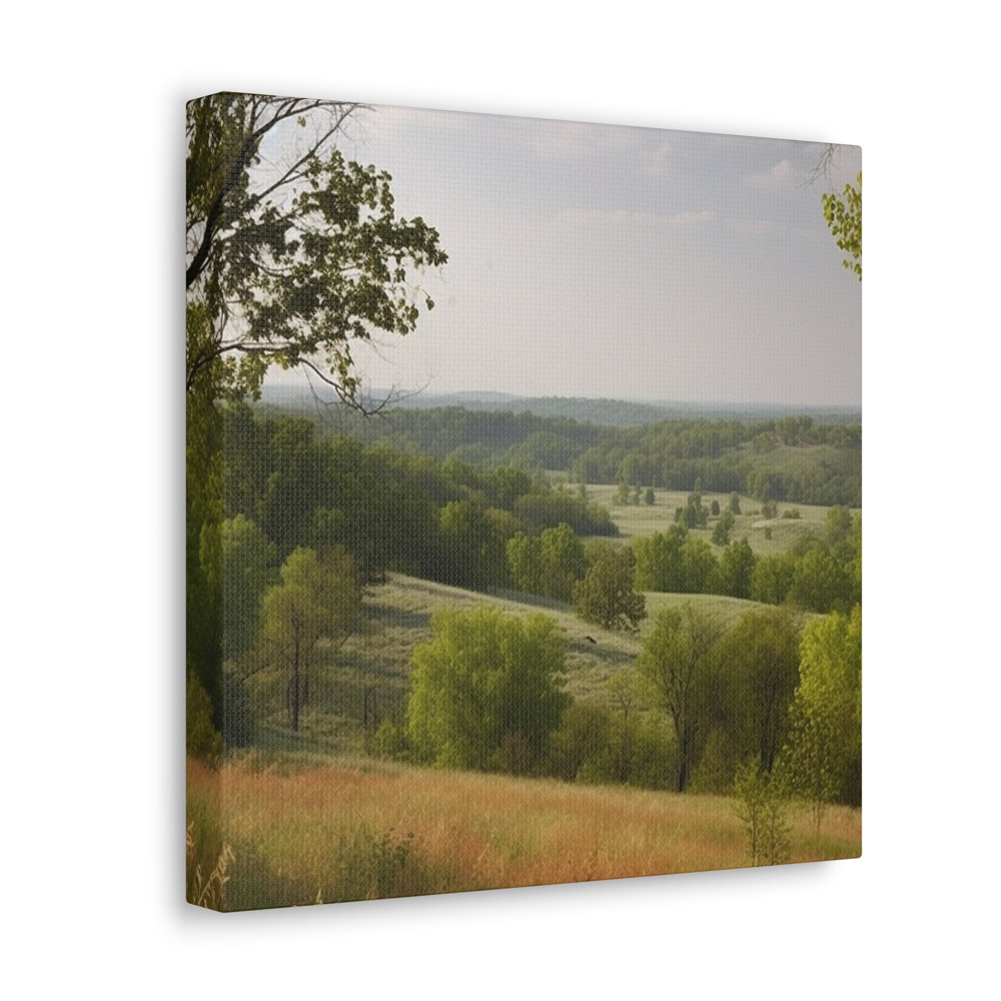 Rustic decor wall art with Missouri landscape photo

