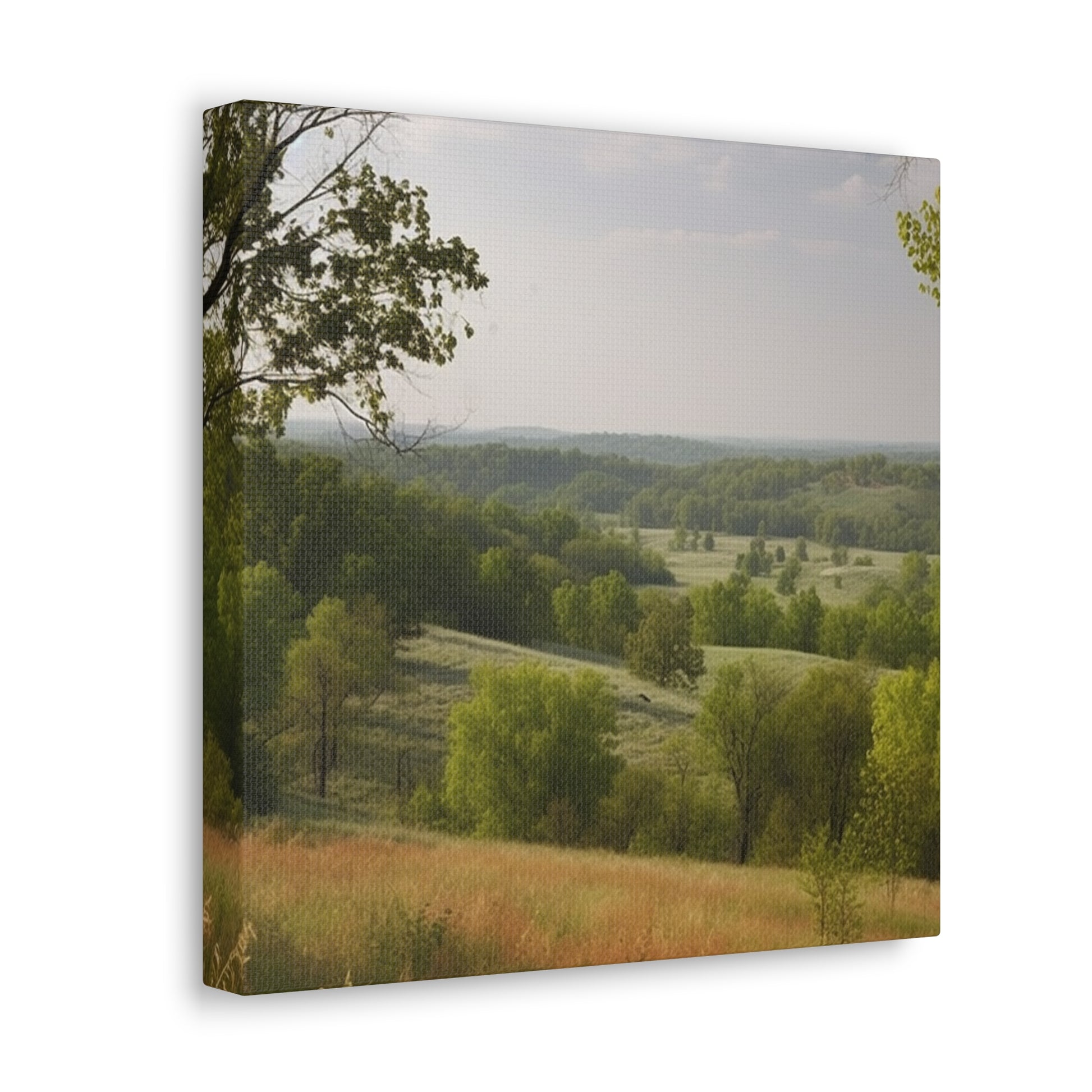 Rustic decor wall art with Missouri landscape photo

