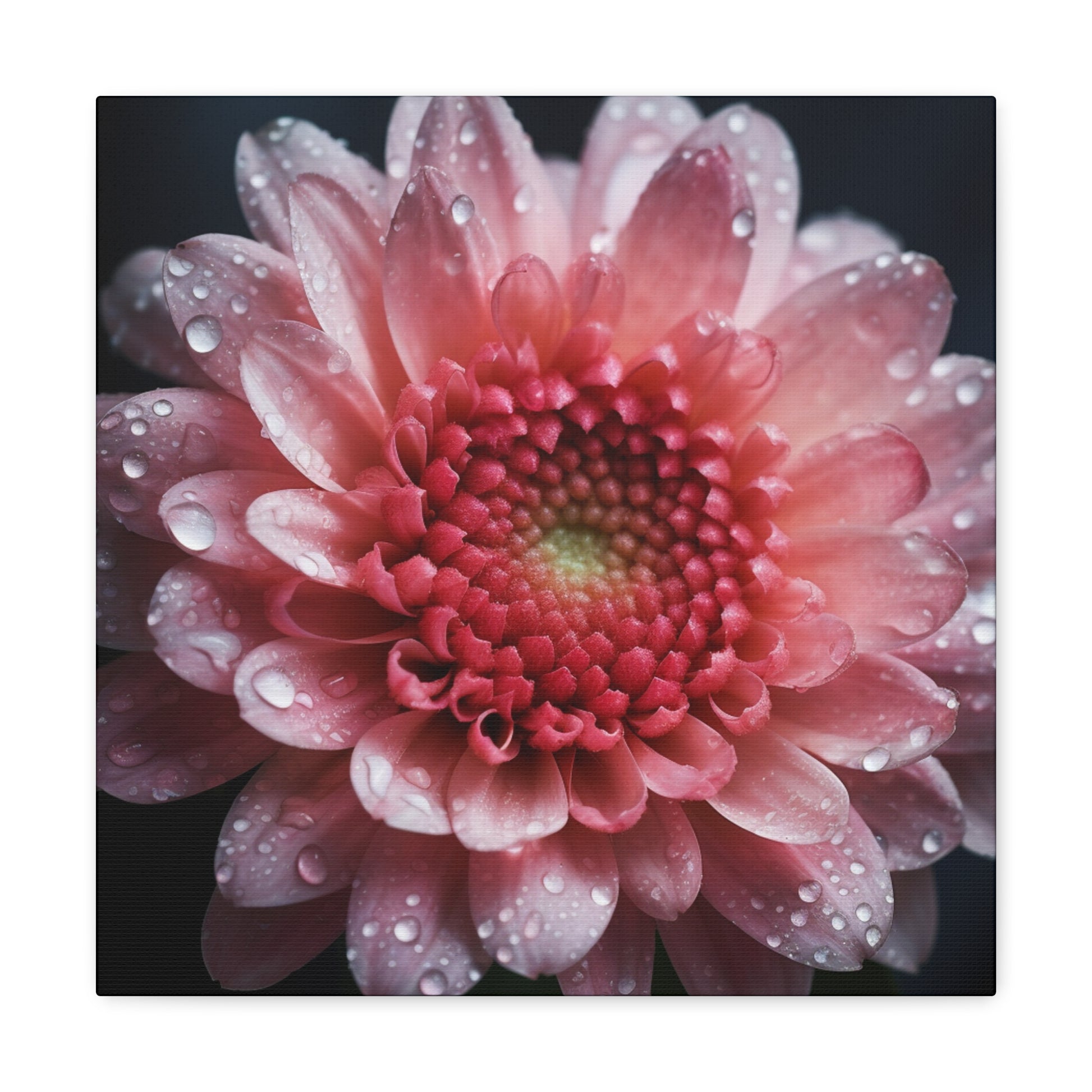 "Beautiful Pink Flower Up Close" Wall Art - Weave Got Gifts - Unique Gifts You Won’t Find Anywhere Else!