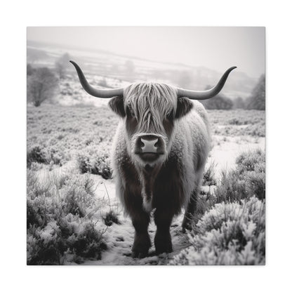 "Black & White Highland Cow" Wall Art - Weave Got Gifts - Unique Gifts You Won’t Find Anywhere Else!