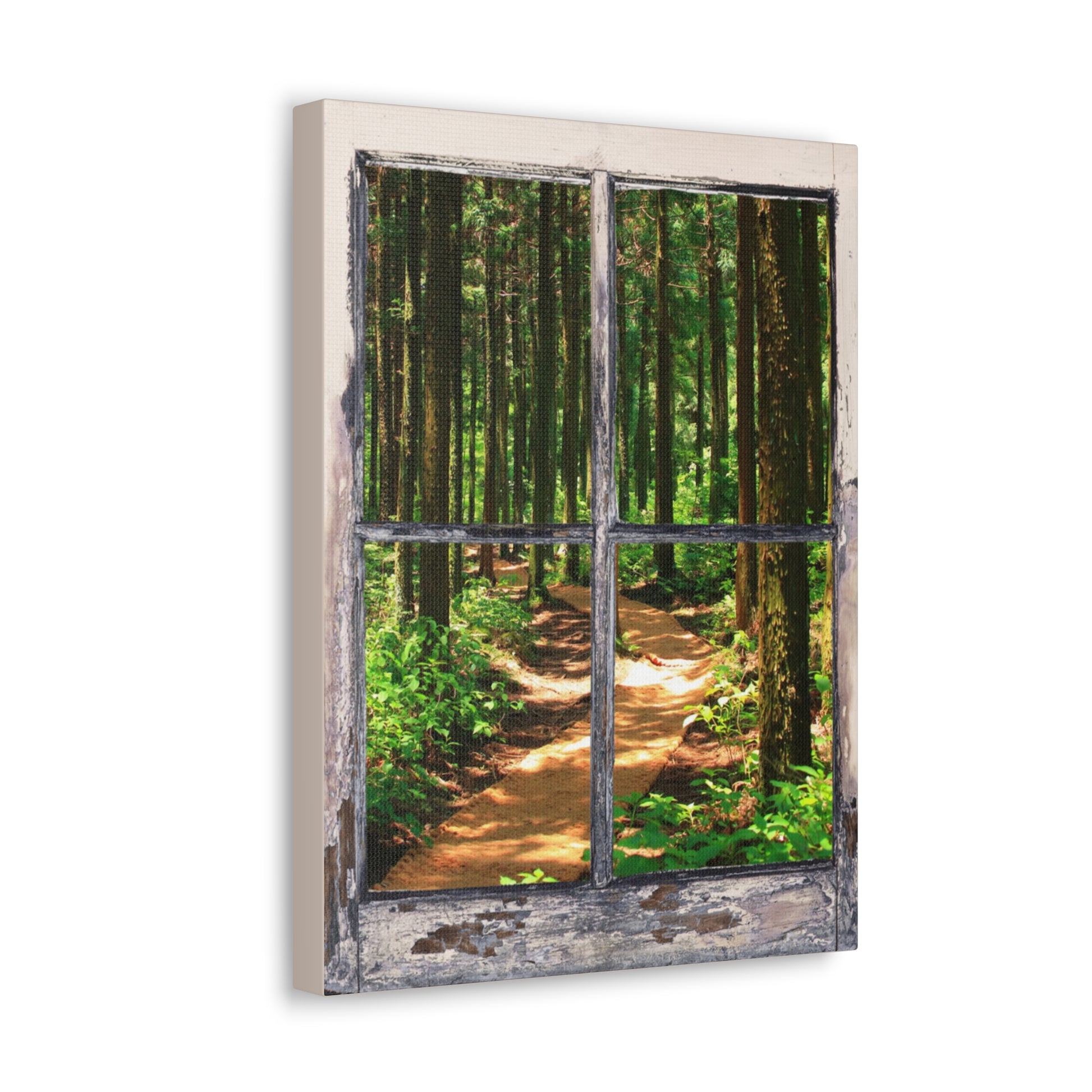 "Natures Window" Wall Art - Weave Got Gifts - Unique Gifts You Won’t Find Anywhere Else!