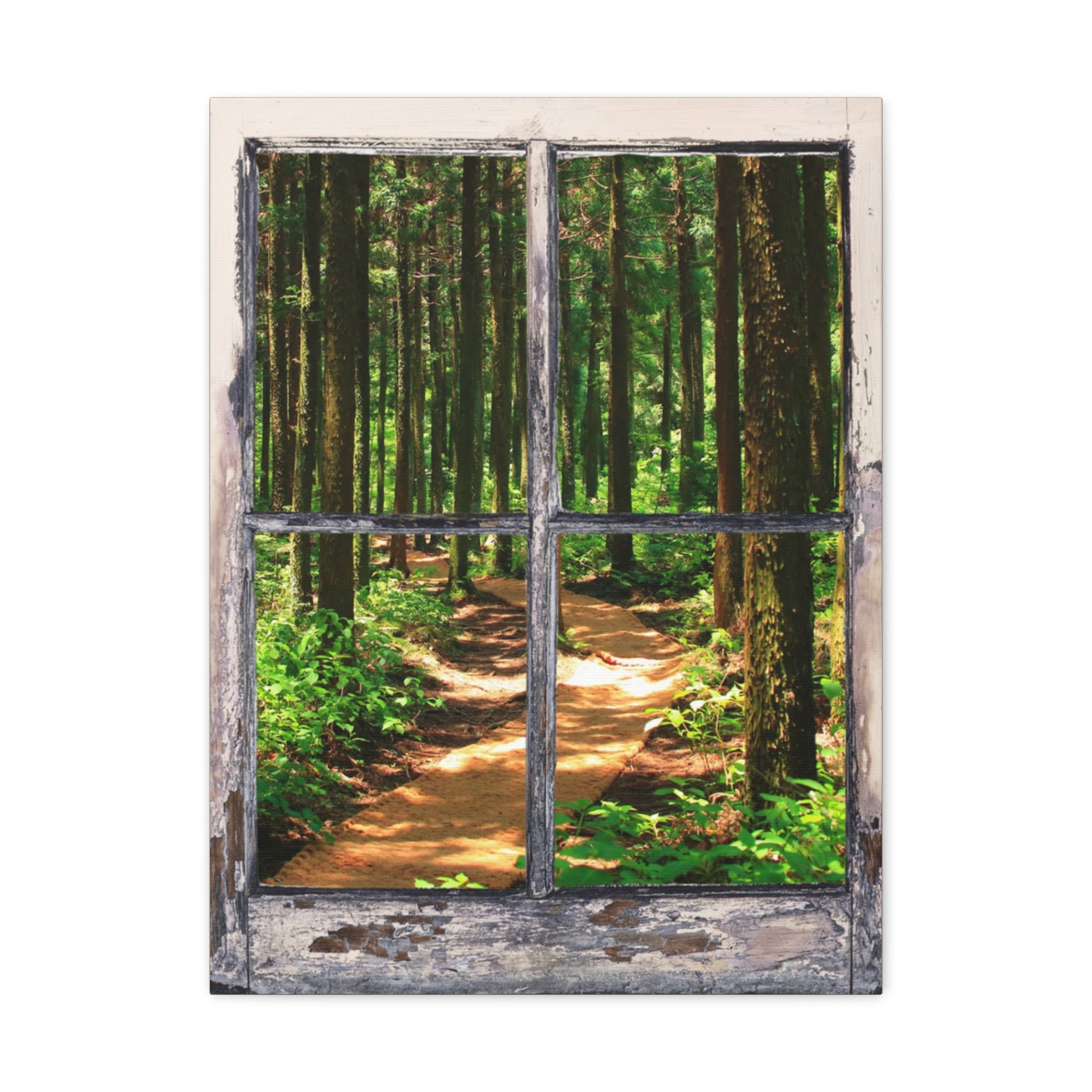 "Natures Window" Wall Art - Weave Got Gifts - Unique Gifts You Won’t Find Anywhere Else!