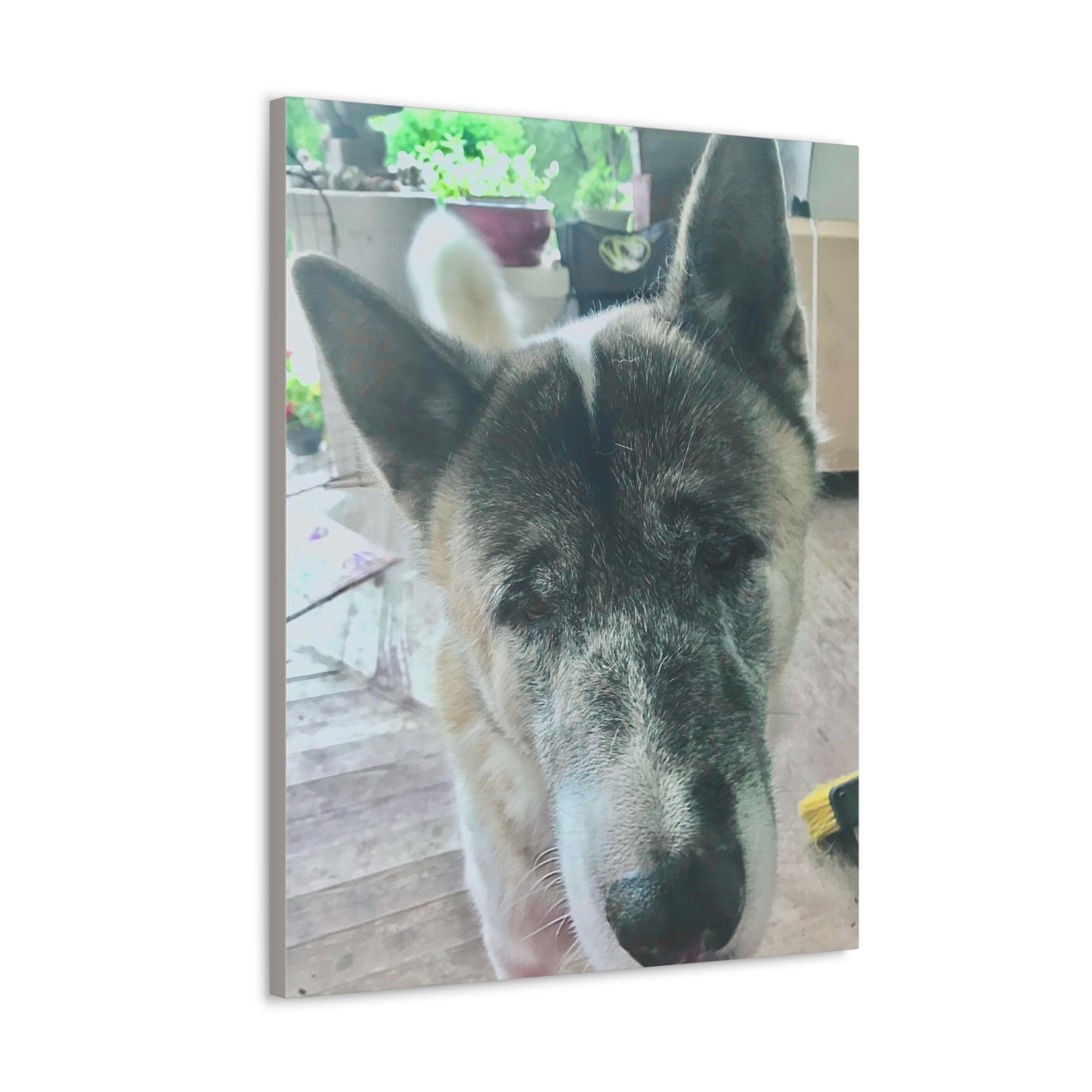 "Dog Photo" Custom Wall Art - Weave Got Gifts - Unique Gifts You Won’t Find Anywhere Else!