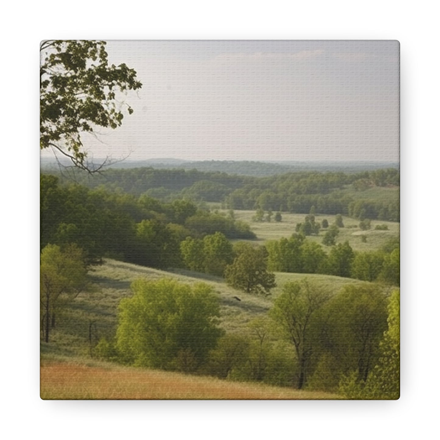 "Rolling Hills Of Missouri" Wall Art - Weave Got Gifts - Unique Gifts You Won’t Find Anywhere Else!