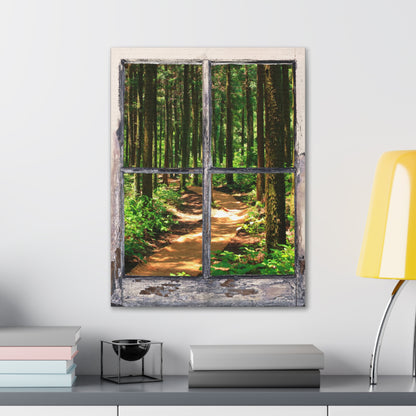 "Natures Window" Wall Art - Weave Got Gifts - Unique Gifts You Won’t Find Anywhere Else!
