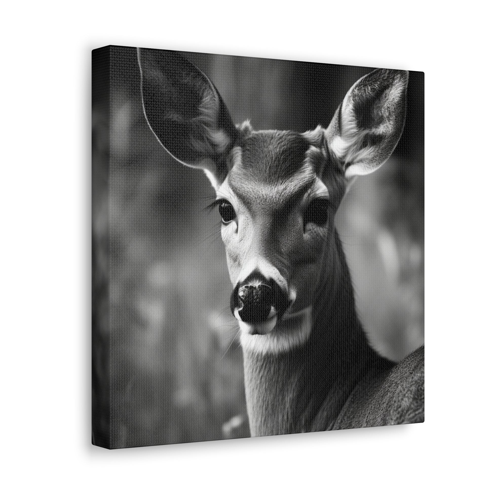 Perfect hunting decor gift featuring a beautiful deer canvas print
