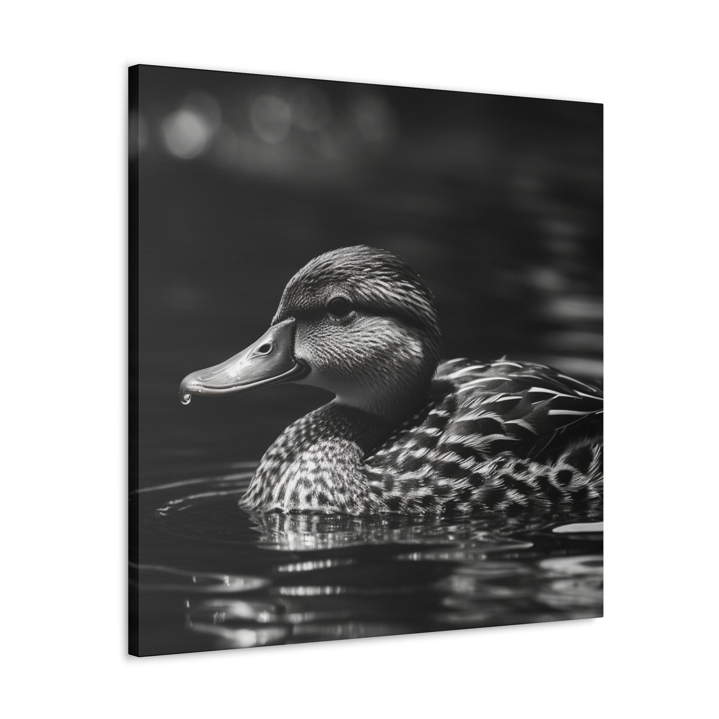 "Black & White Mallard Photo" Wall Art - Weave Got Gifts - Unique Gifts You Won’t Find Anywhere Else!