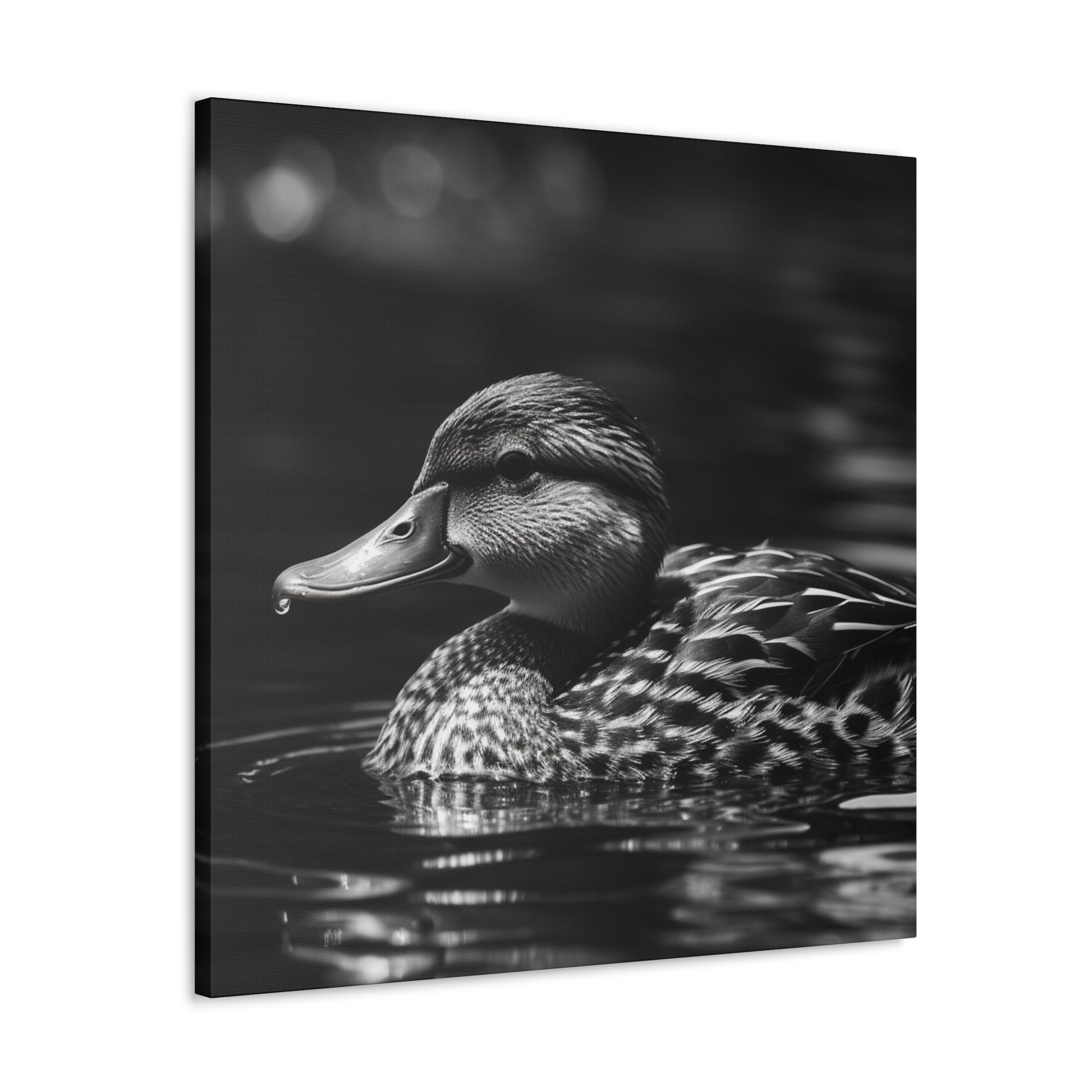 "Black & White Mallard Photo" Wall Art - Weave Got Gifts - Unique Gifts You Won’t Find Anywhere Else!